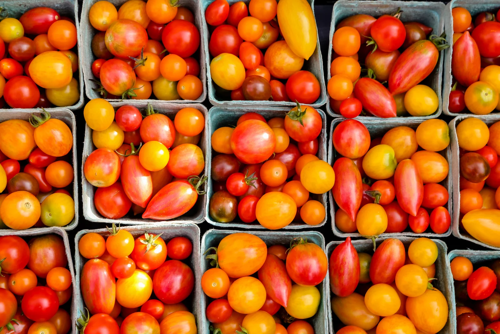 BC ISLANDS GANGES-9.JPG