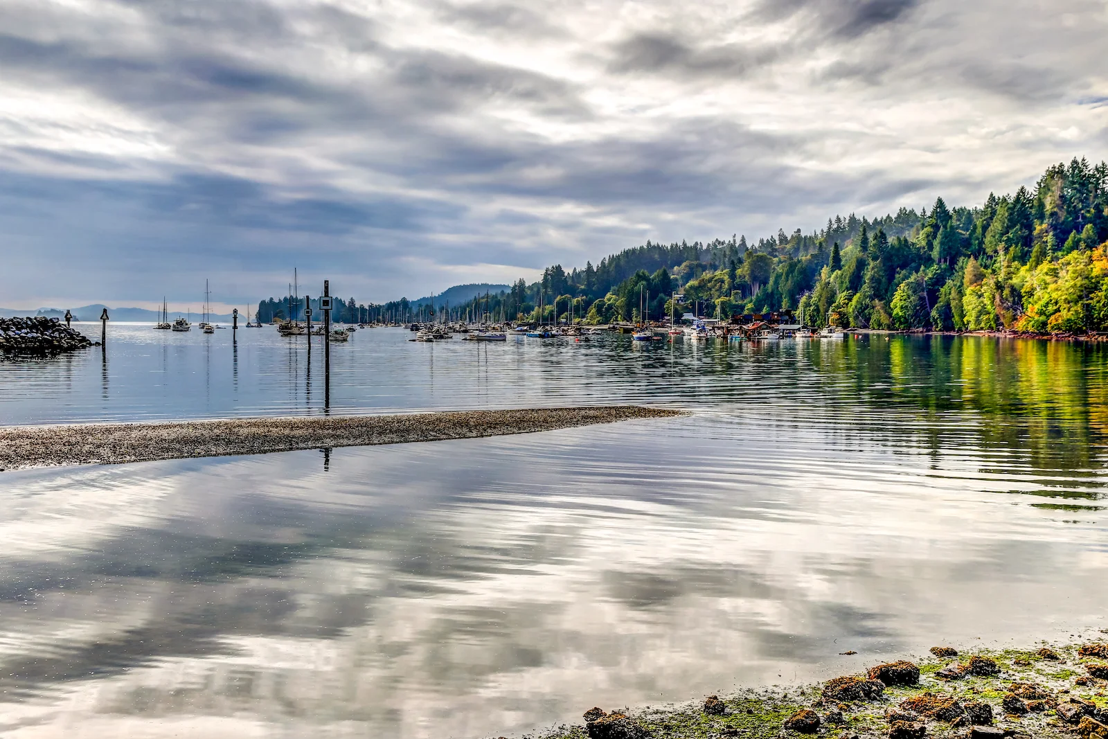 BC ISLANDS GANGES-14.JPG