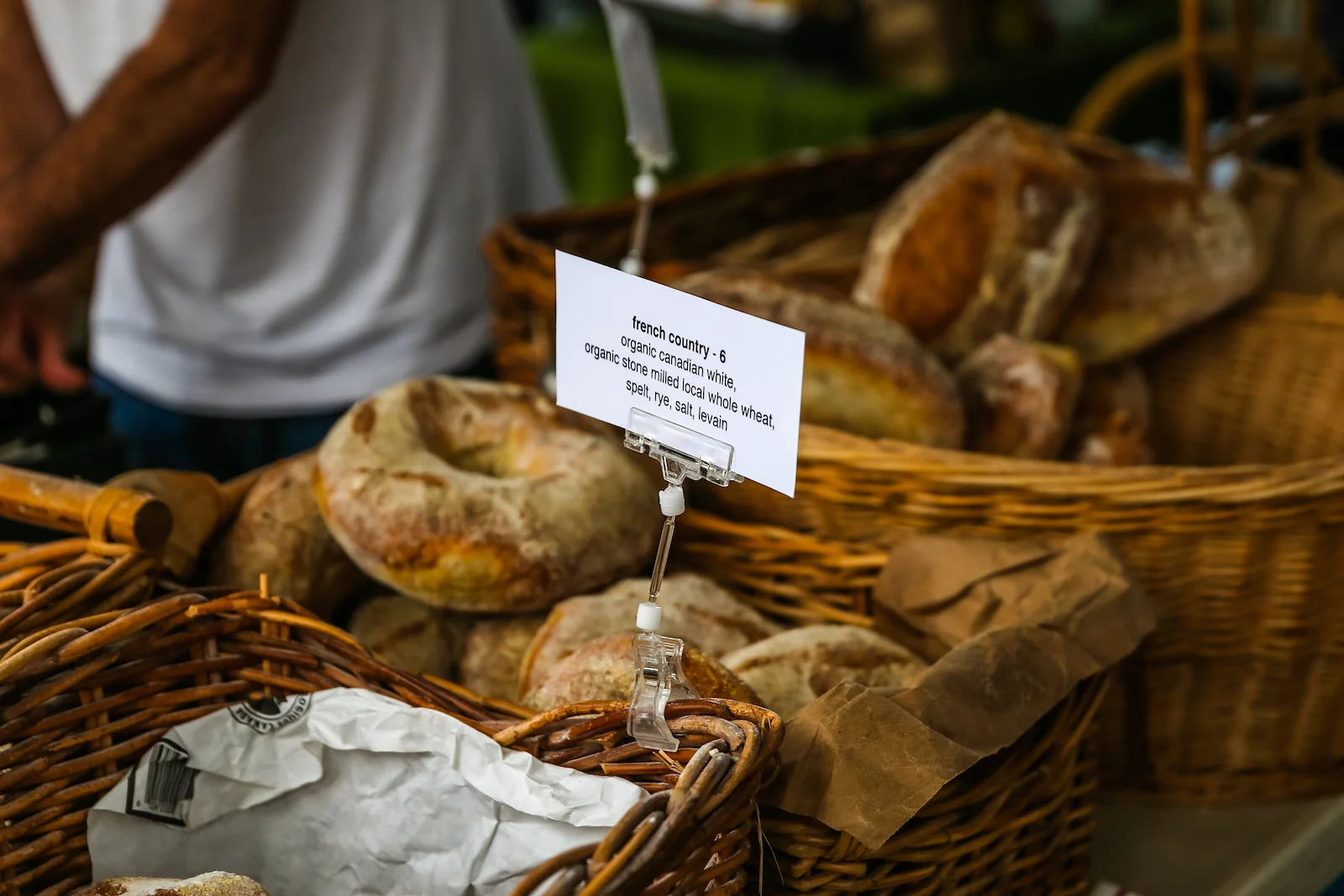 BC ISLANDS GANGES-16.JPG