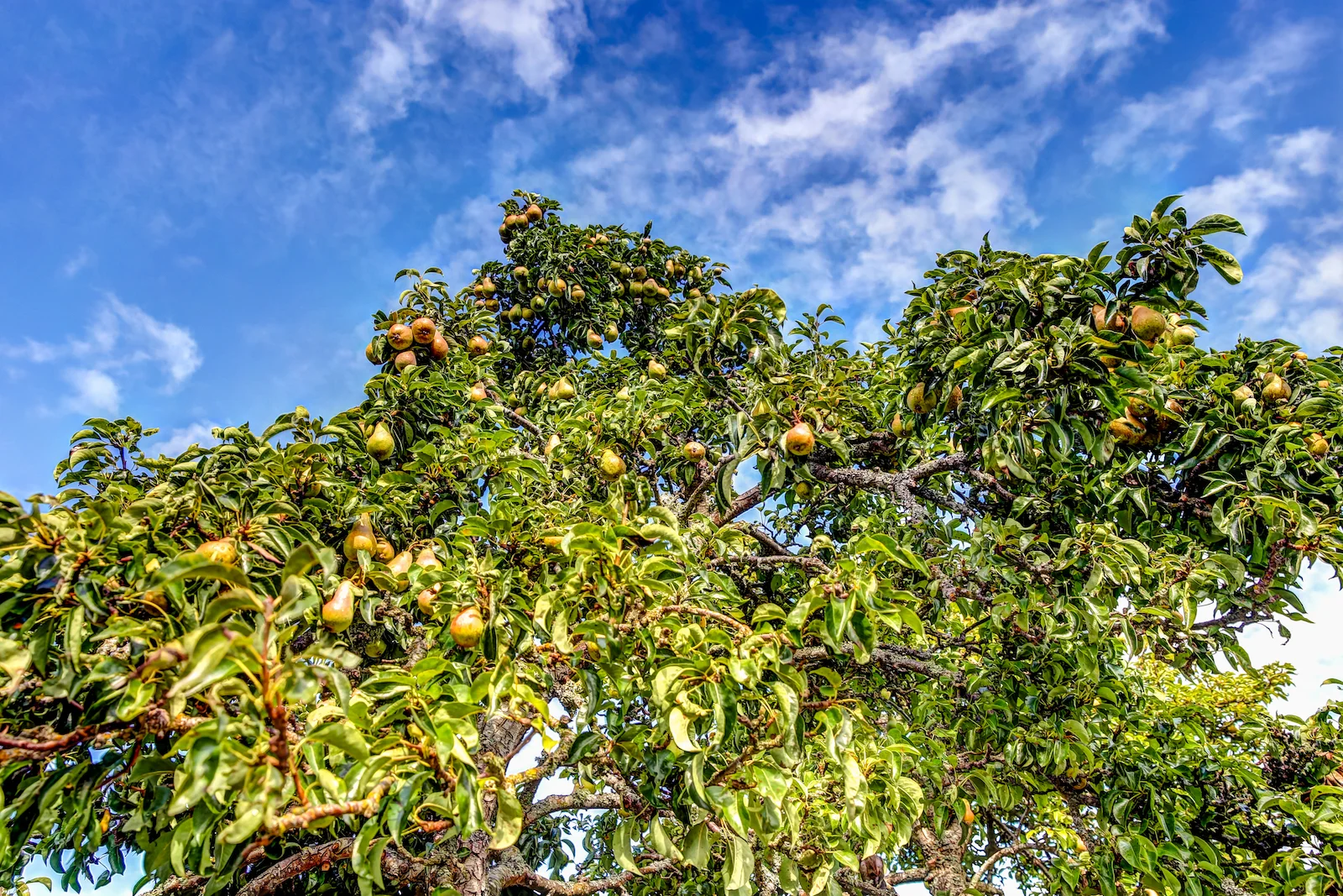 BC ISLANDS GANGES-19.JPG