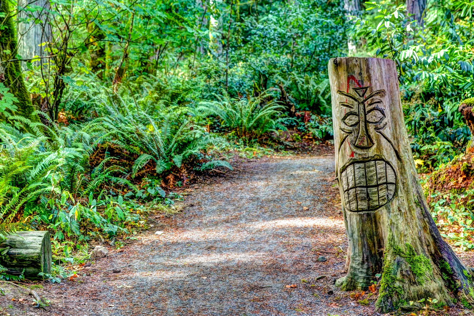 BC ISLANDS GANGES-24.JPG