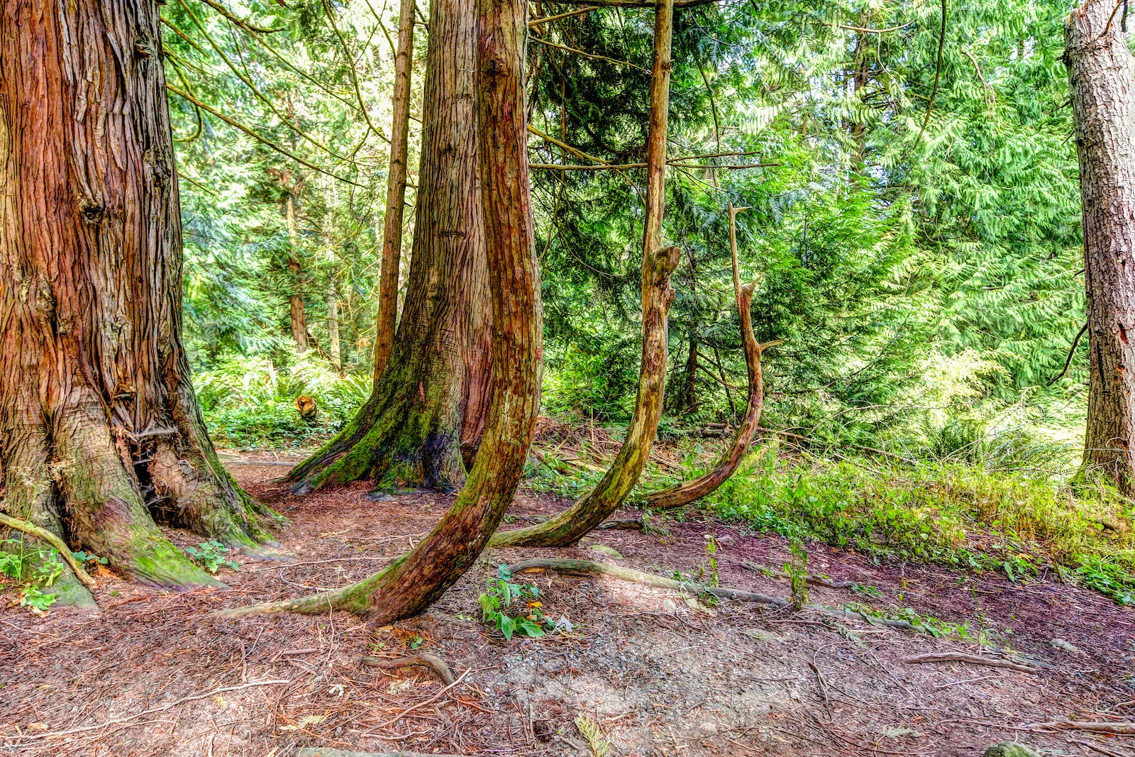 BC ISLANDS GANGES-28.JPG