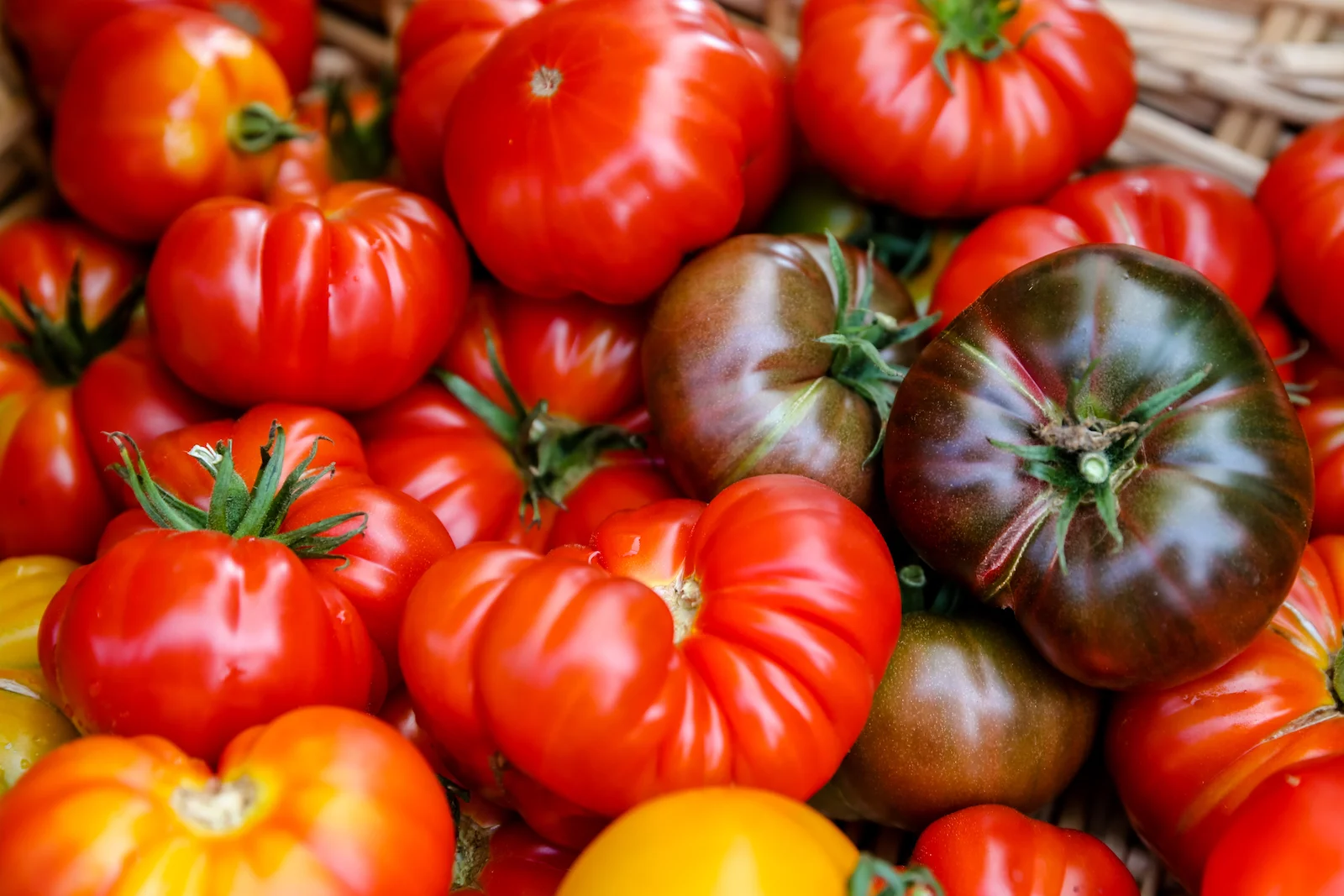 BC ISLANDS GANGES-36.JPG