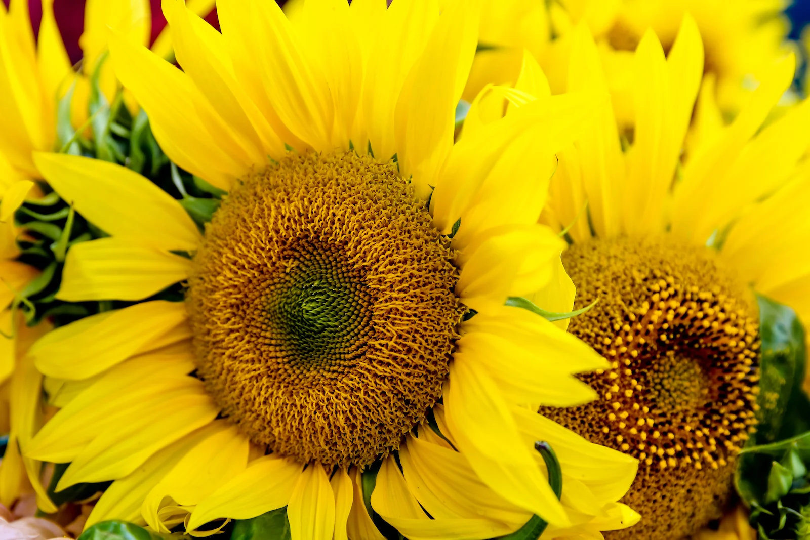 BC ISLANDS GANGES-35.JPG