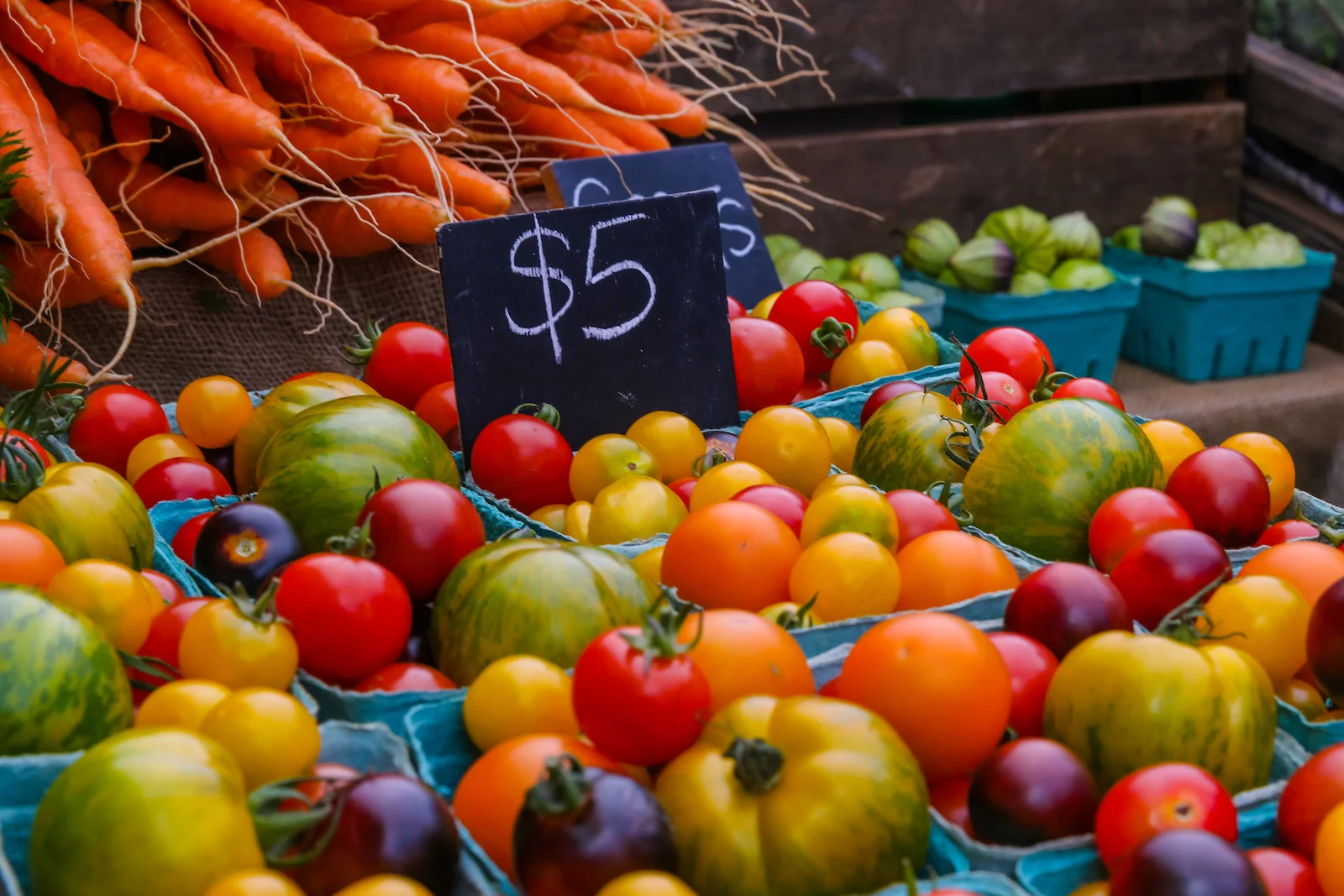 BC ISLANDS GANGES-38.JPG