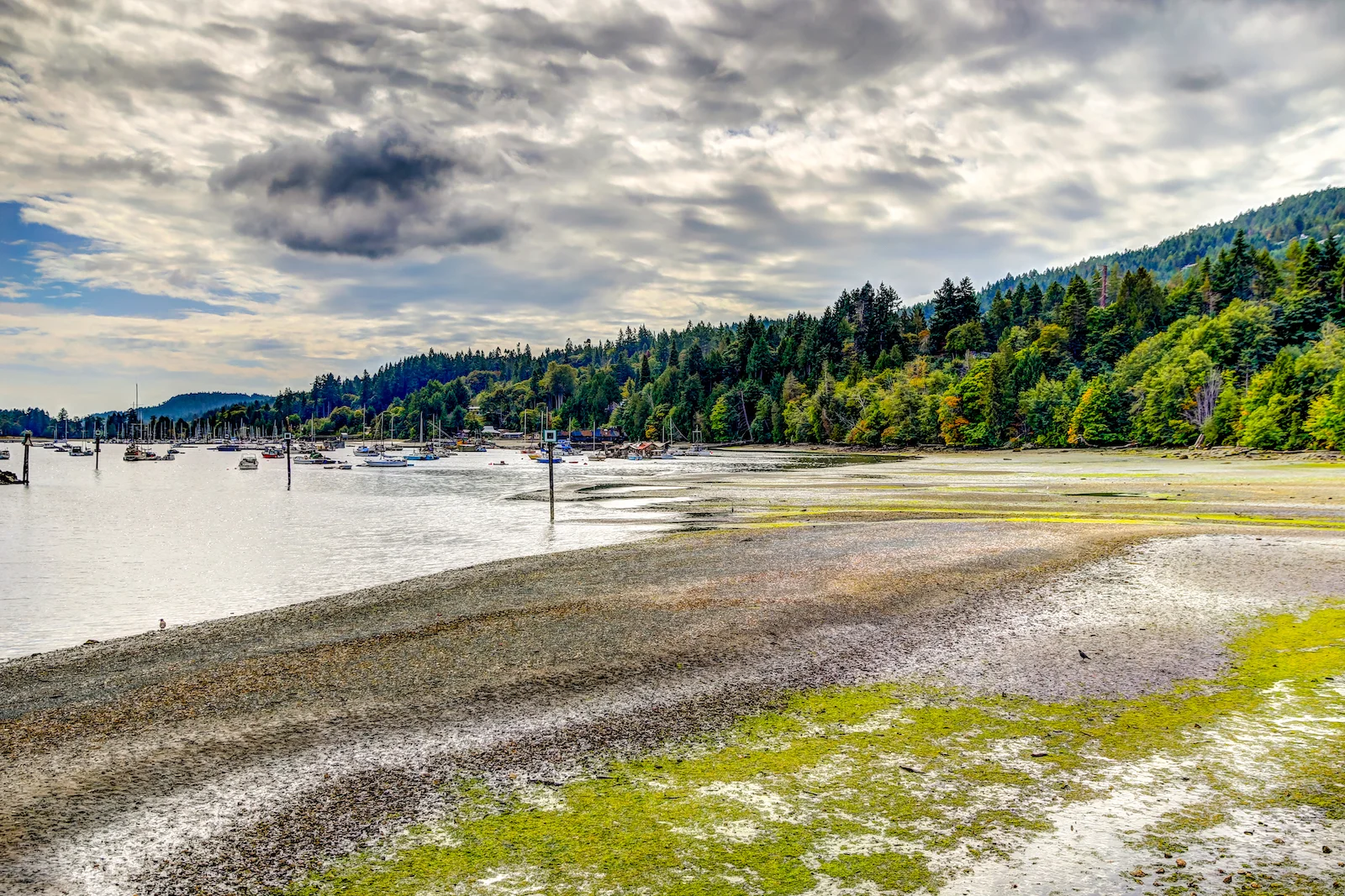 BC ISLANDS GANGES-40.JPG