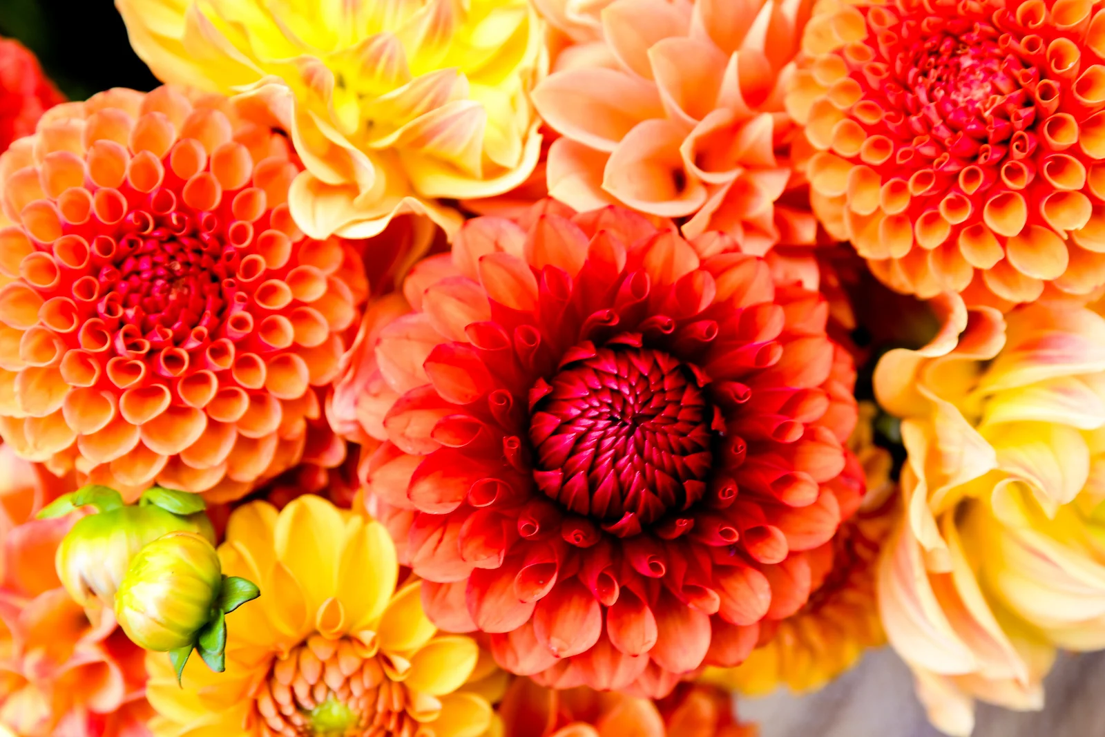 BC ISLANDS GANGES-42.JPG