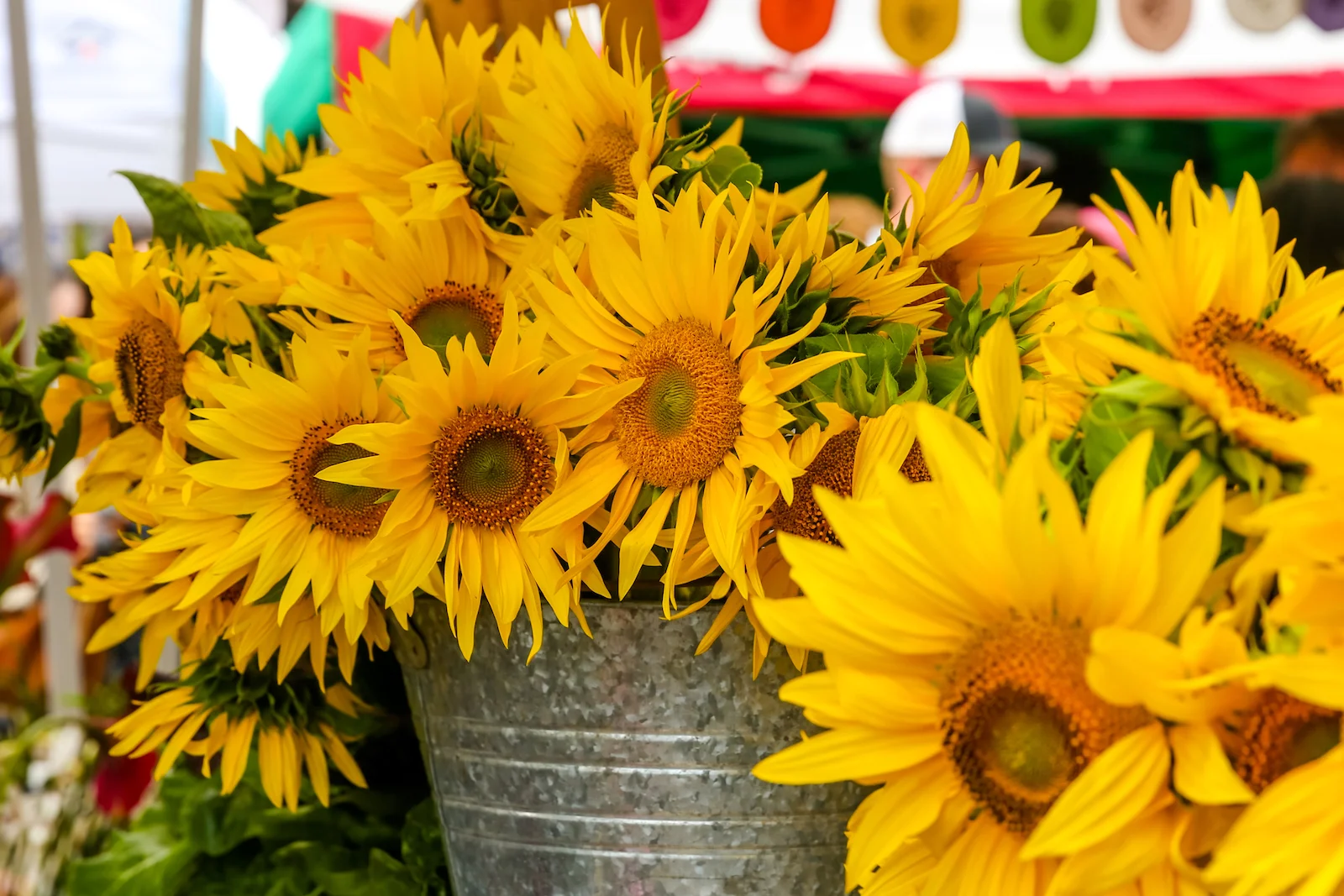 BC ISLANDS GANGES-44.JPG