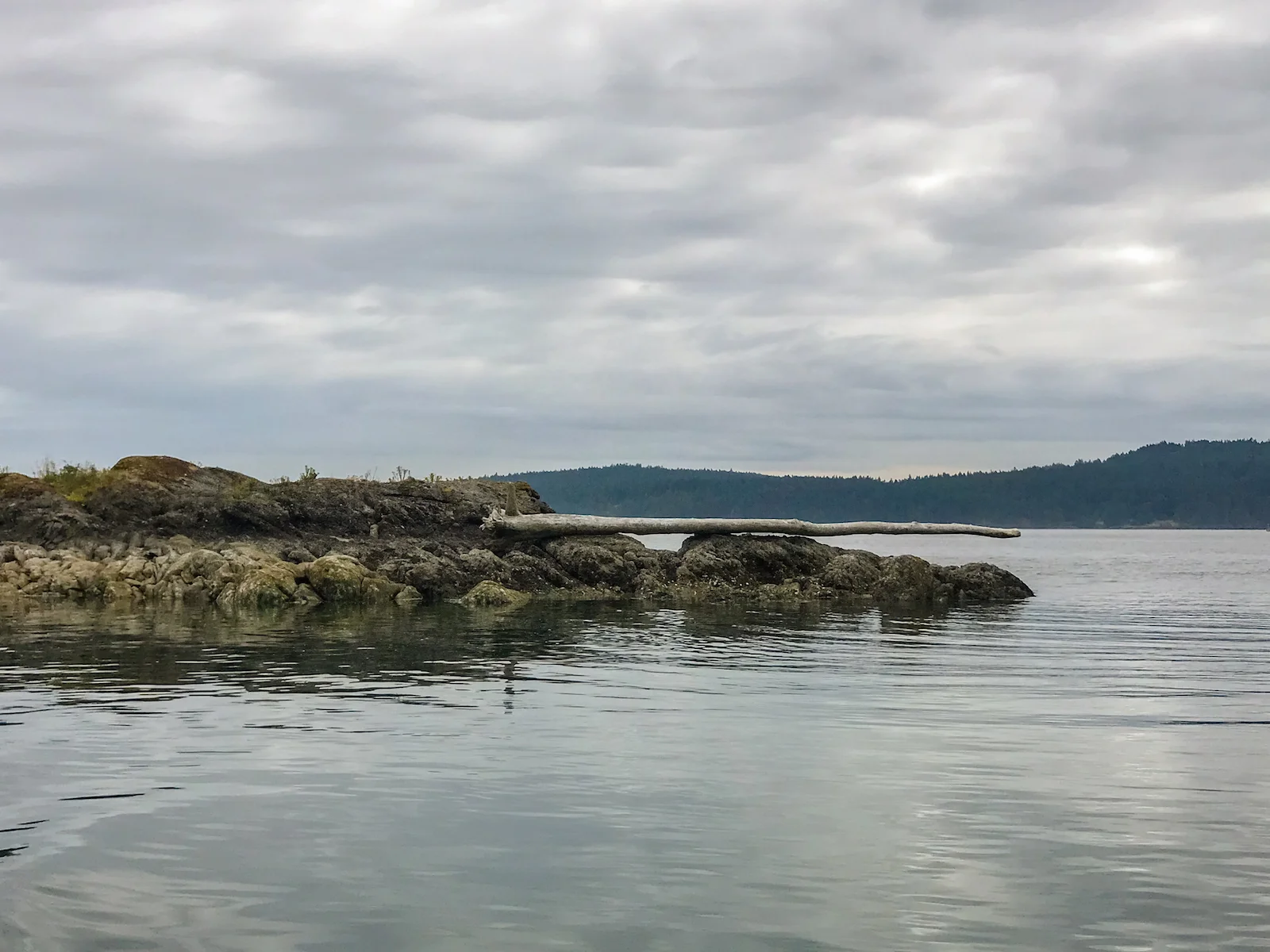 BC ISLANDS VICTORIA-10.JPG