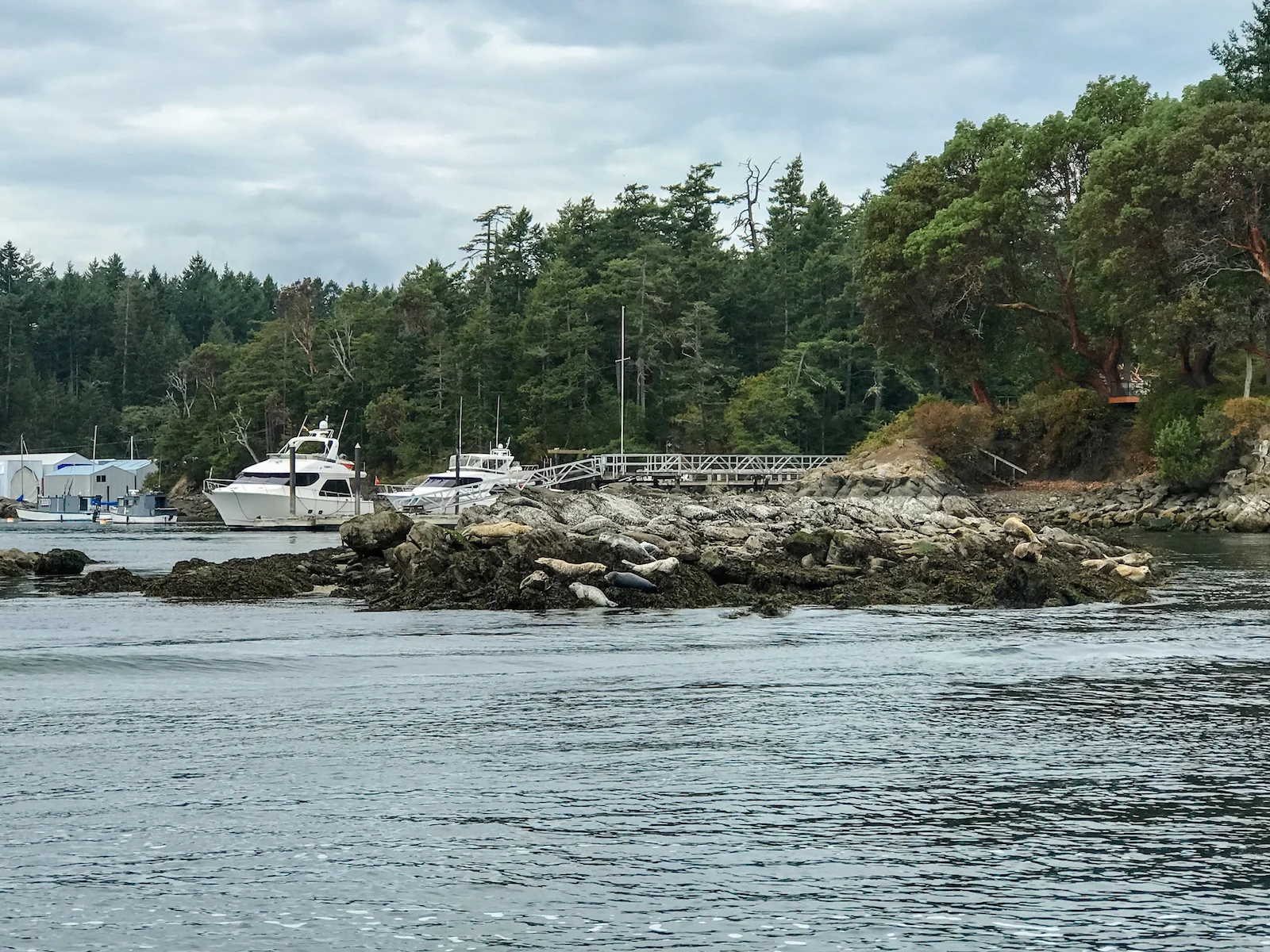 BC ISLANDS VICTORIA-21.JPG