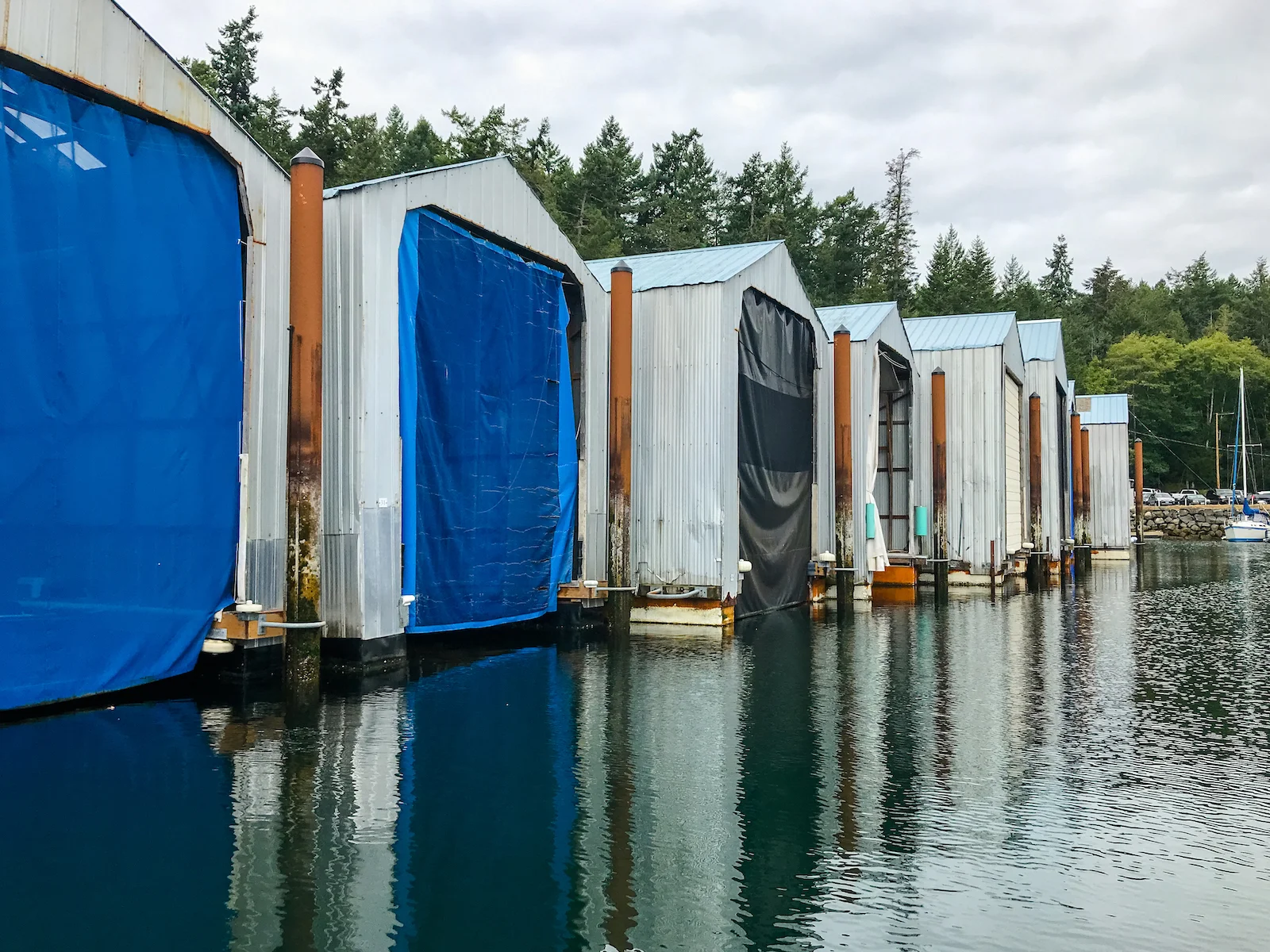 BC ISLANDS VICTORIA-22.JPG