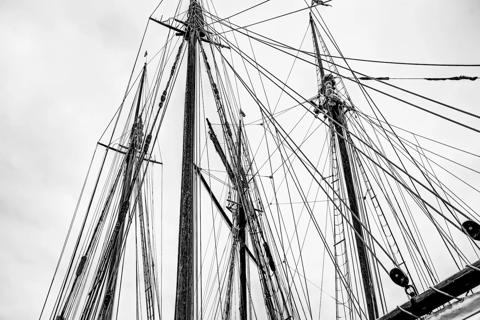 BC ISLANDS BLACK AND WHITE-1.JPG