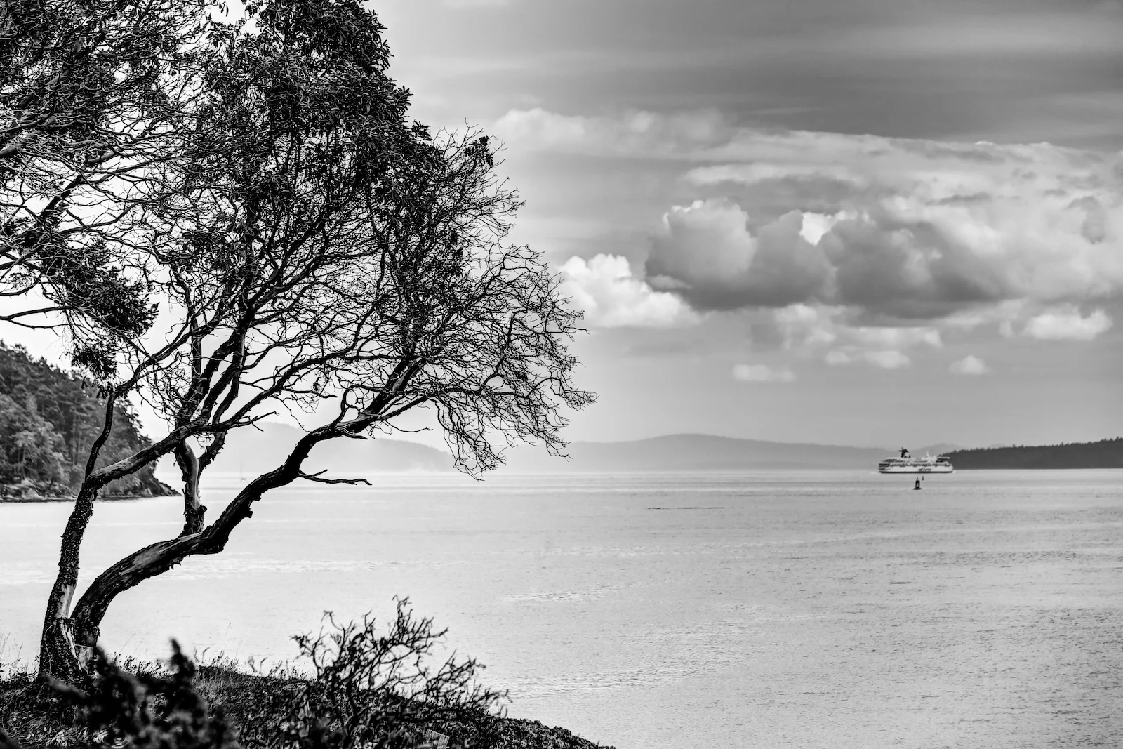 BC ISLANDS BLACK AND WHITE-10.JPG