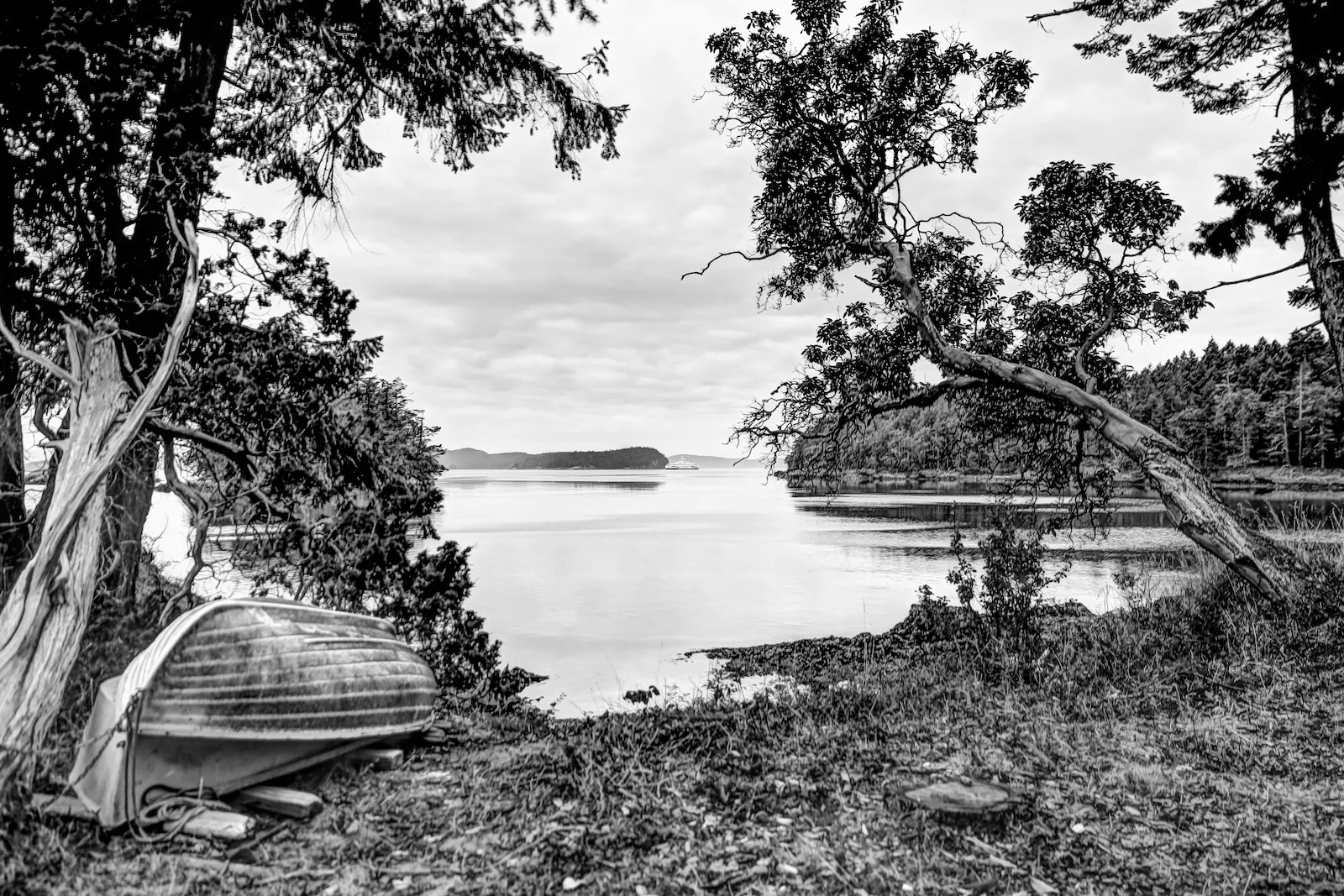 BC ISLANDS BLACK AND WHITE-15.JPG