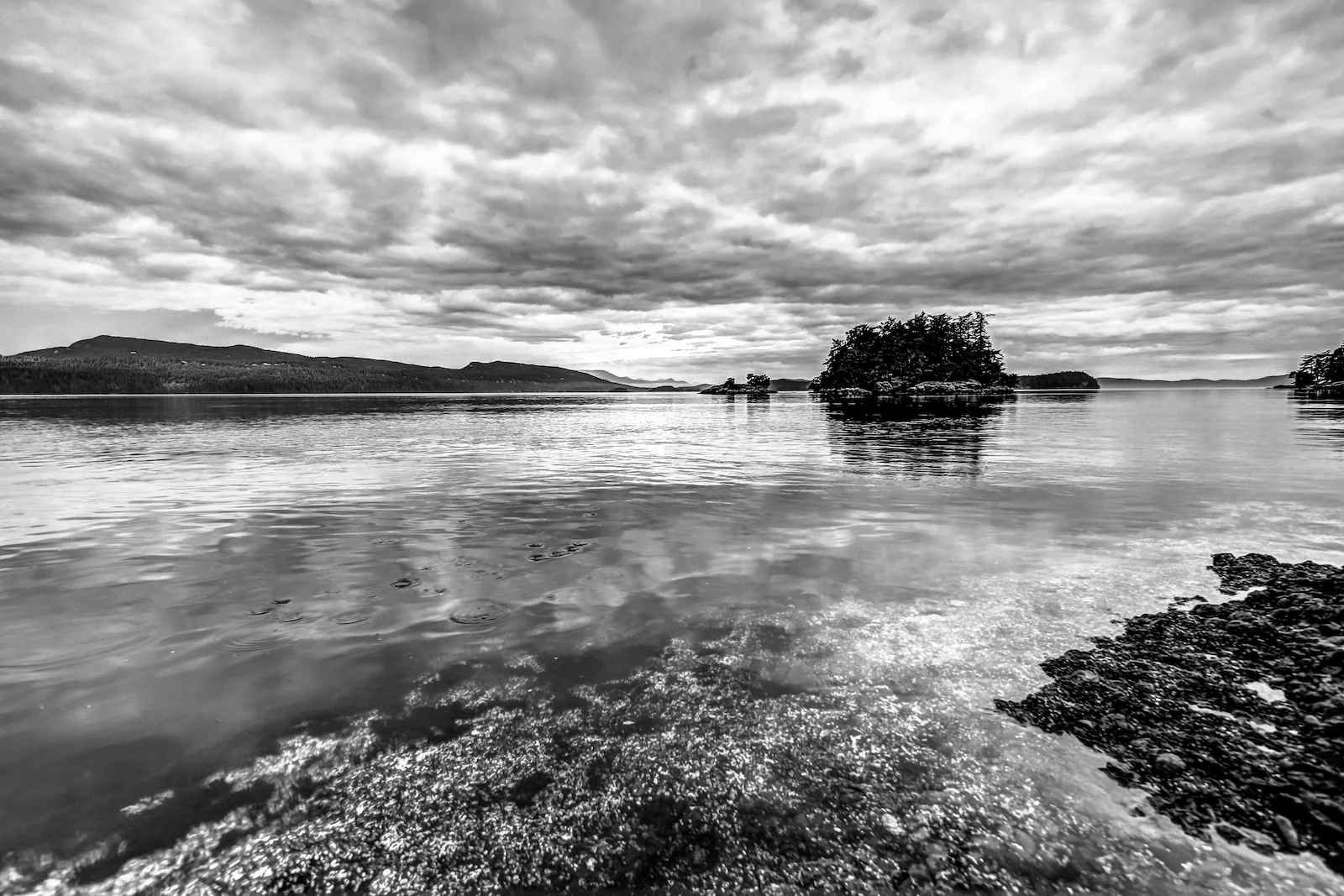 BC ISLANDS BLACK AND WHITE-16.JPG