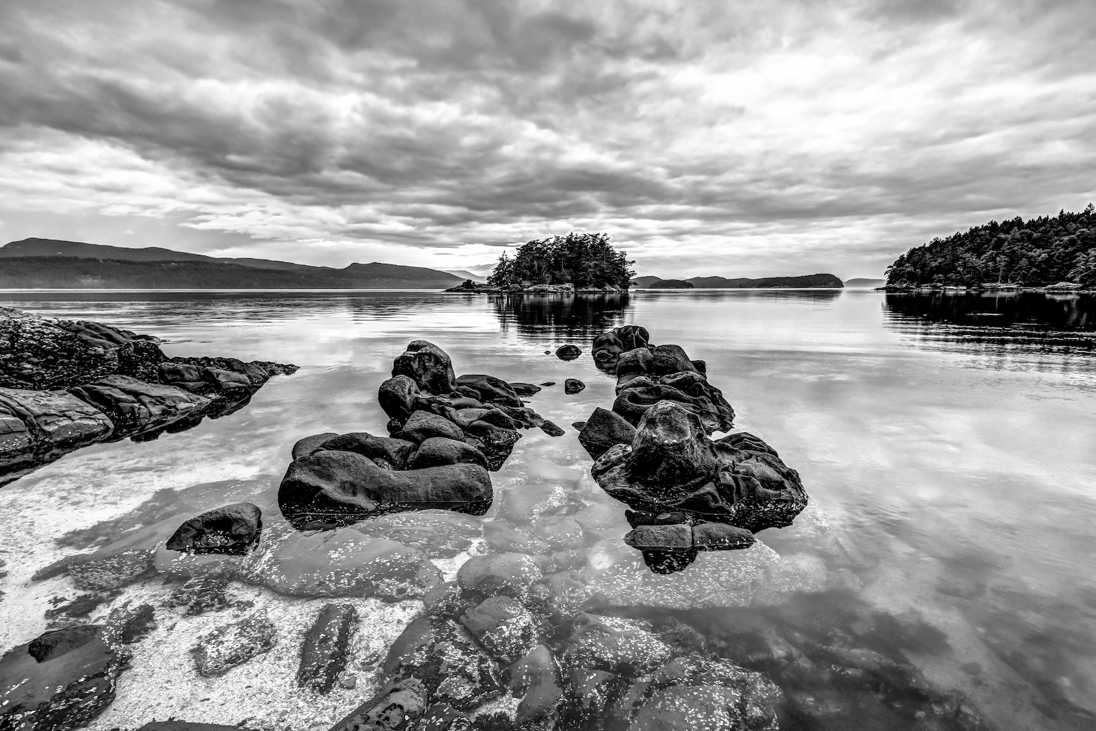 BC ISLANDS BLACK AND WHITE-17.JPG