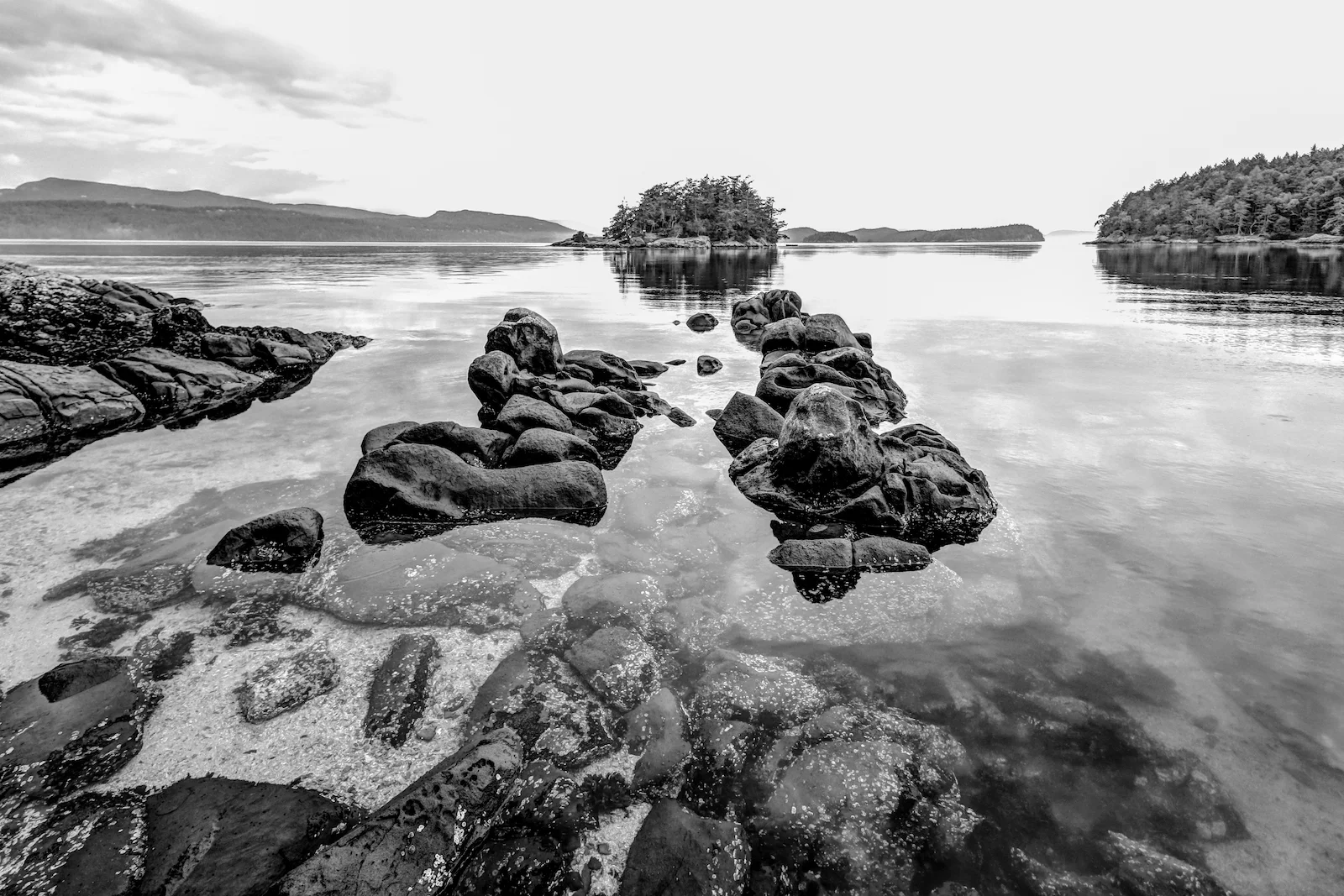 BC ISLANDS BLACK AND WHITE-18.JPG