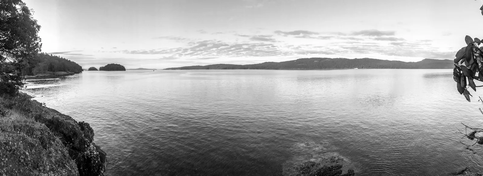 BC ISLANDS BLACK AND WHITE-19.JPG