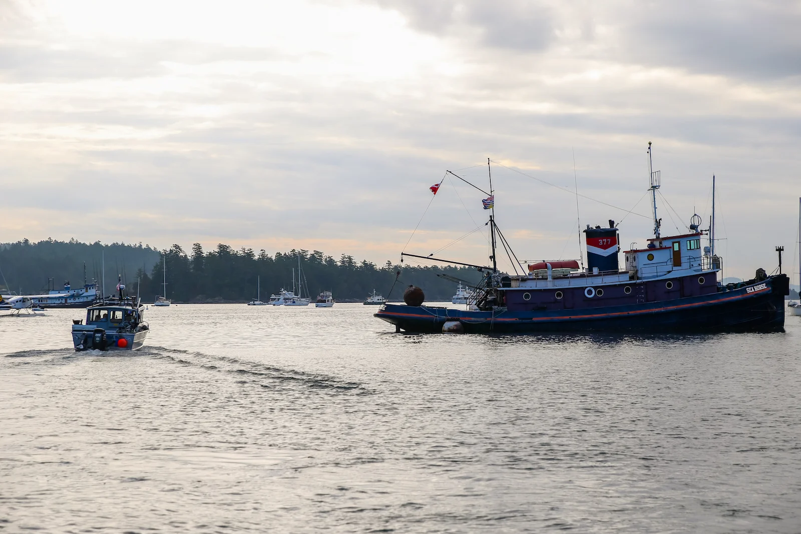 BC ISLANDS REEL ACTION FISHING-8.JPG