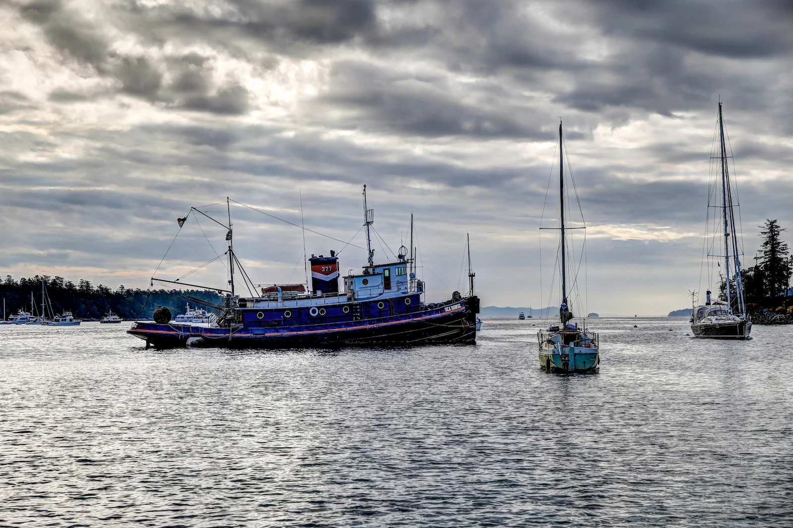 BC ISLANDS REEL ACTION FISHING-7.JPG