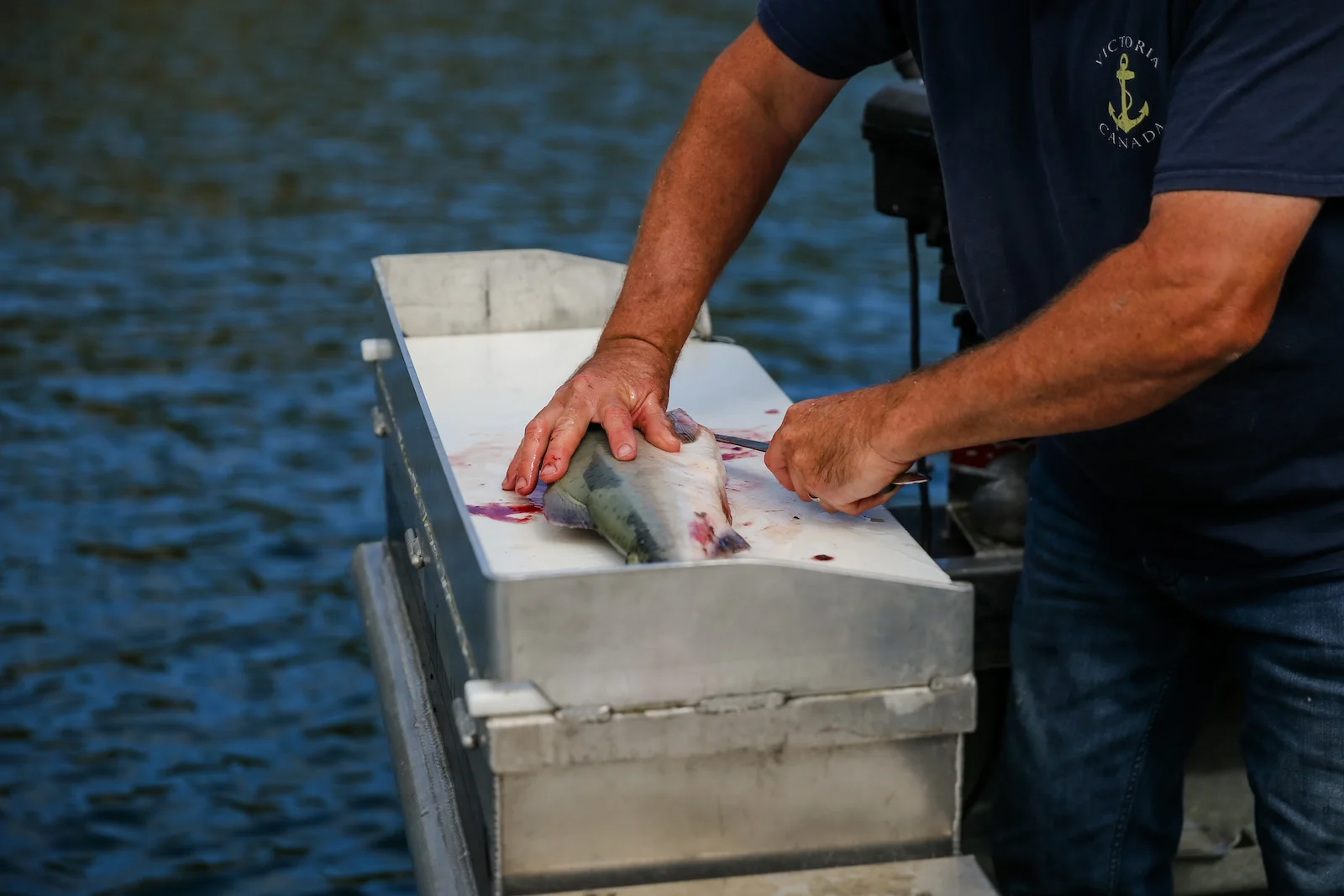 BC ISLANDS REEL ACTION FISHING-12.JPG