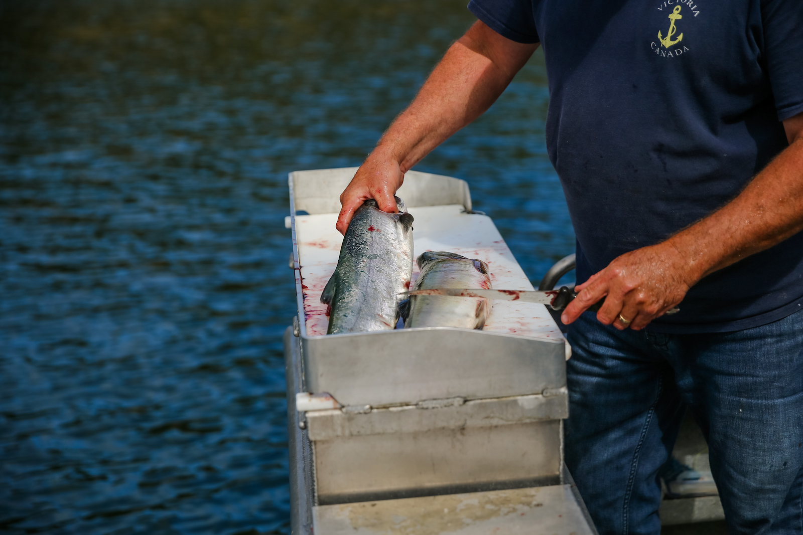 BC ISLANDS REEL ACTION FISHING-13.JPG
