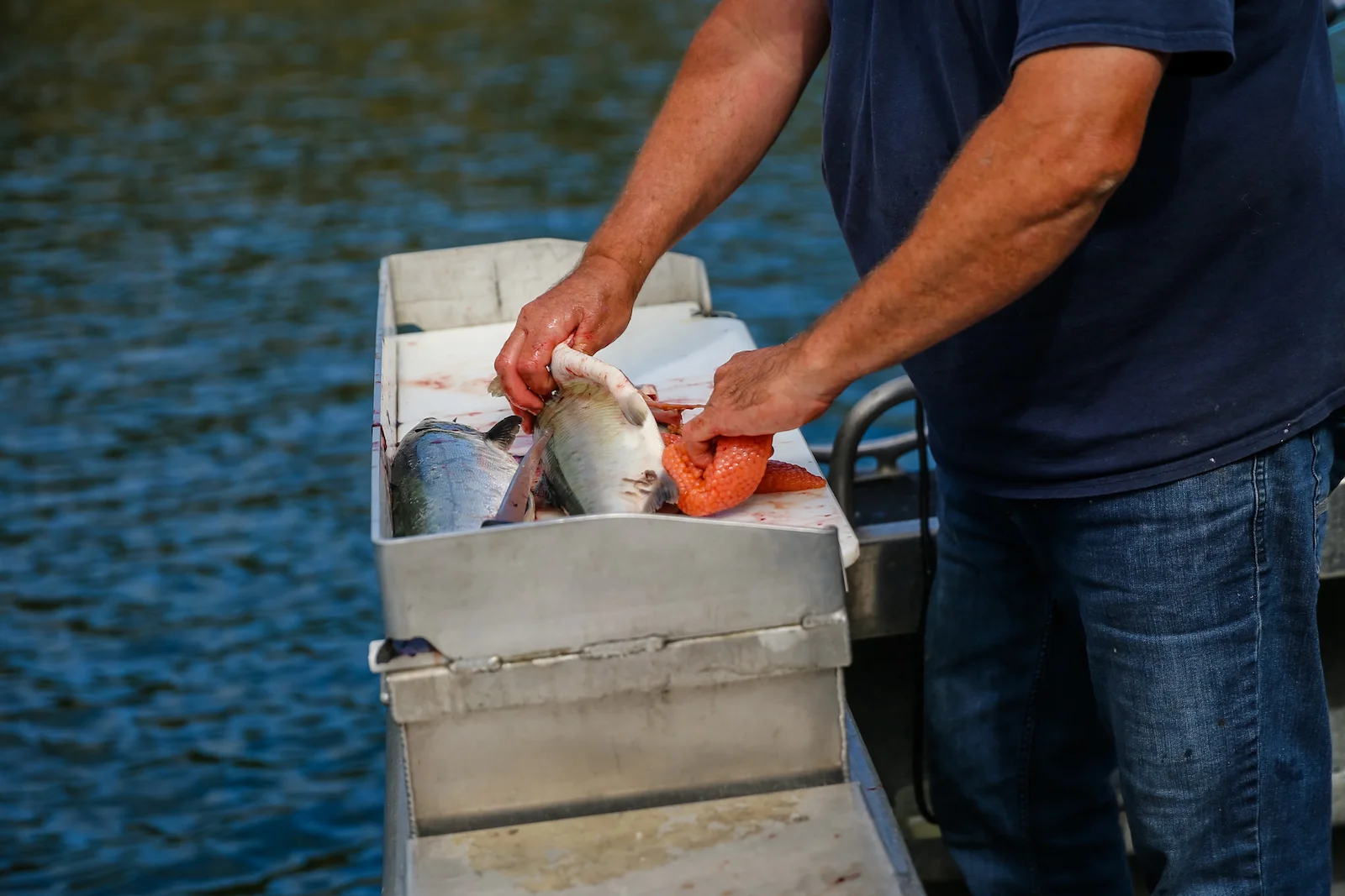 BC ISLANDS REEL ACTION FISHING-14.JPG
