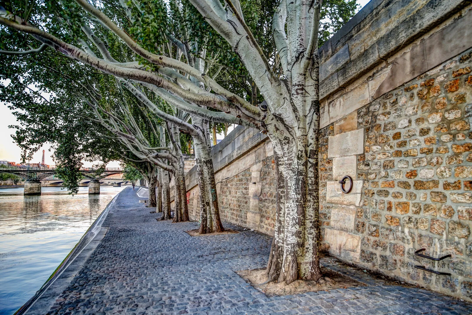 2019 PARIS CITY VIEWS-11.JPG