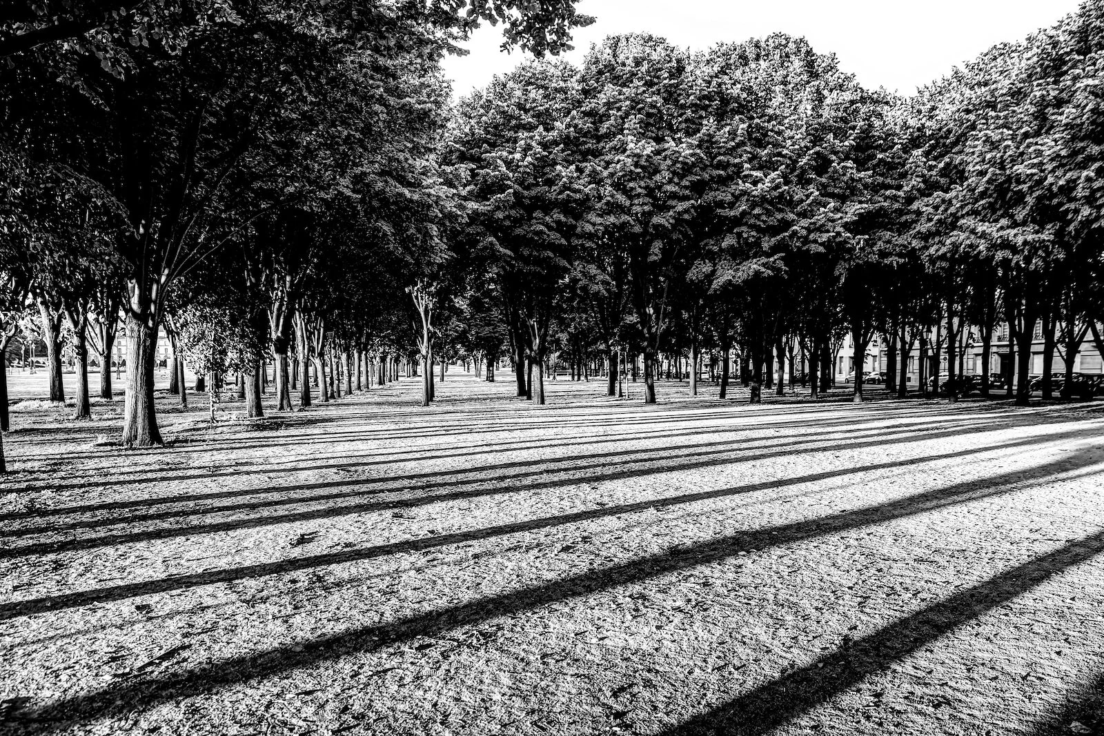 2019 PARIS CITY VIEWS-33.JPG