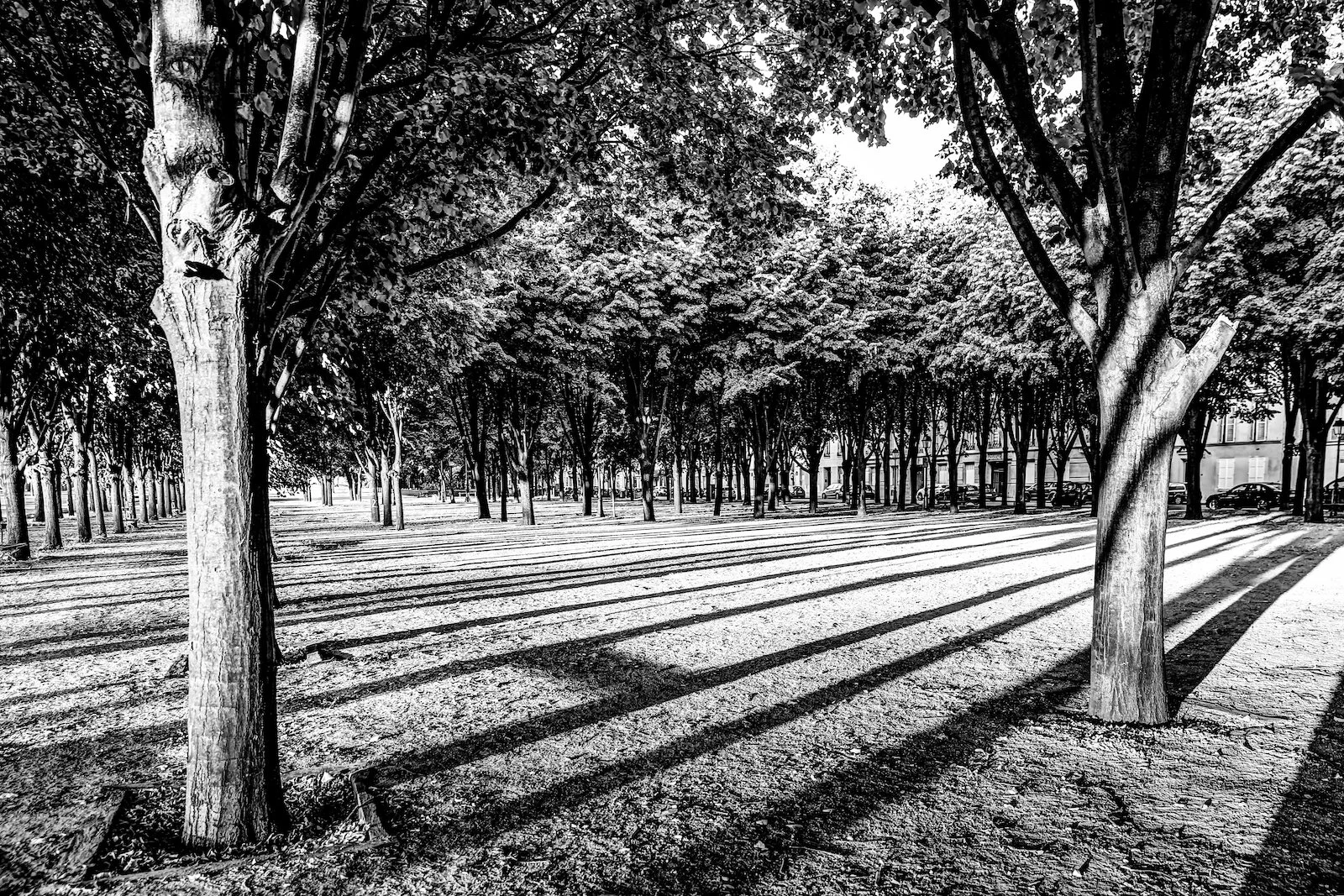 2019 PARIS CITY VIEWS-32.JPG