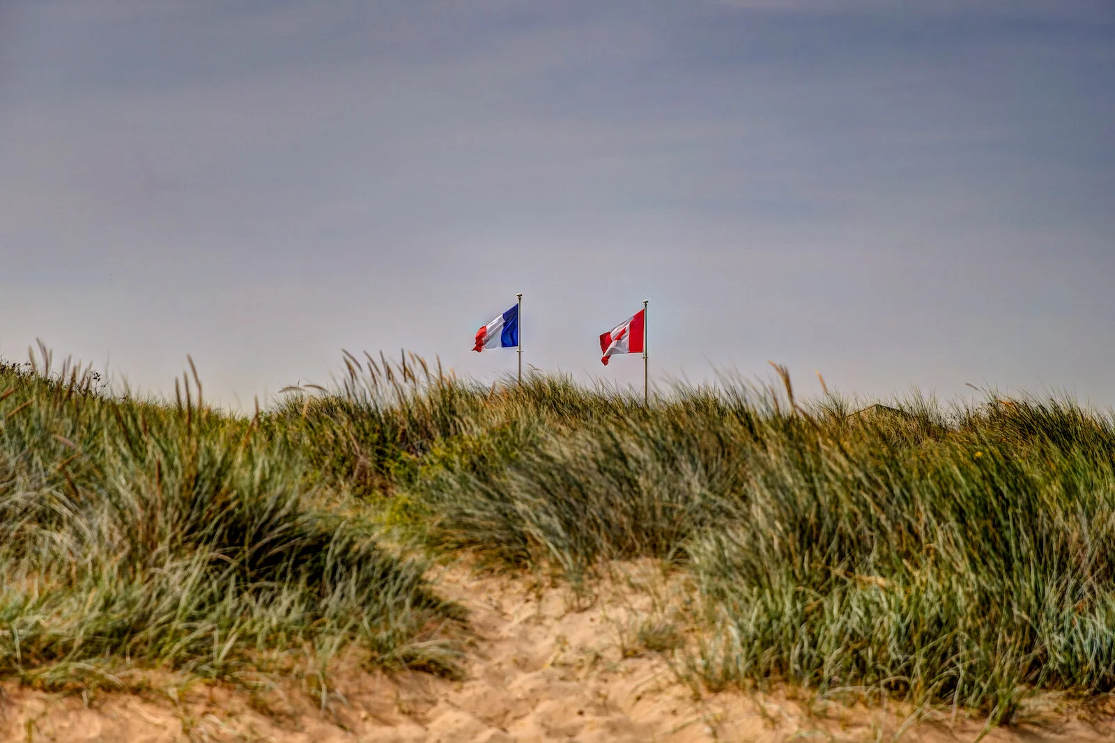 2019 NORMANDY-24.JPG