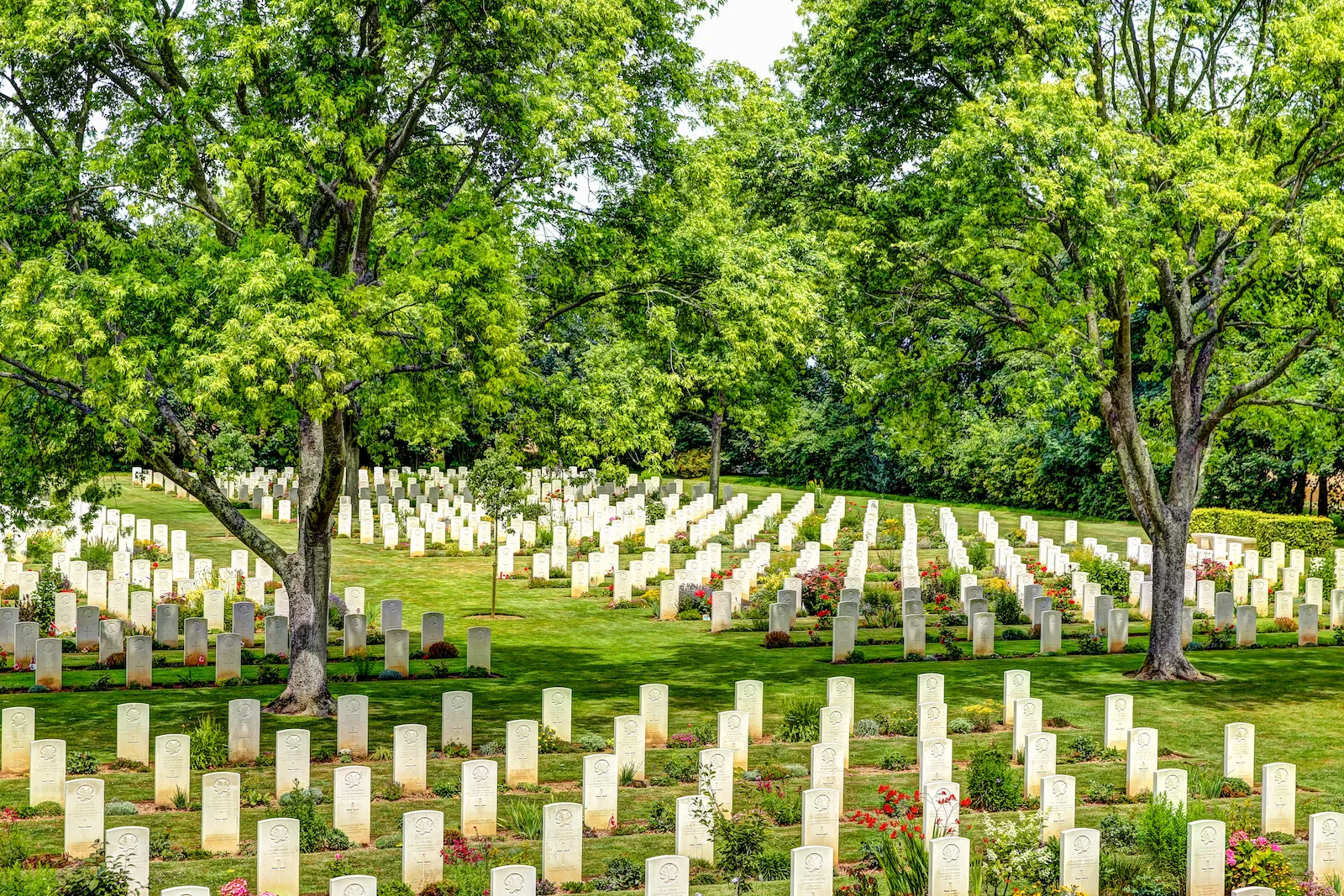 2019 NORMANDY-45.JPG