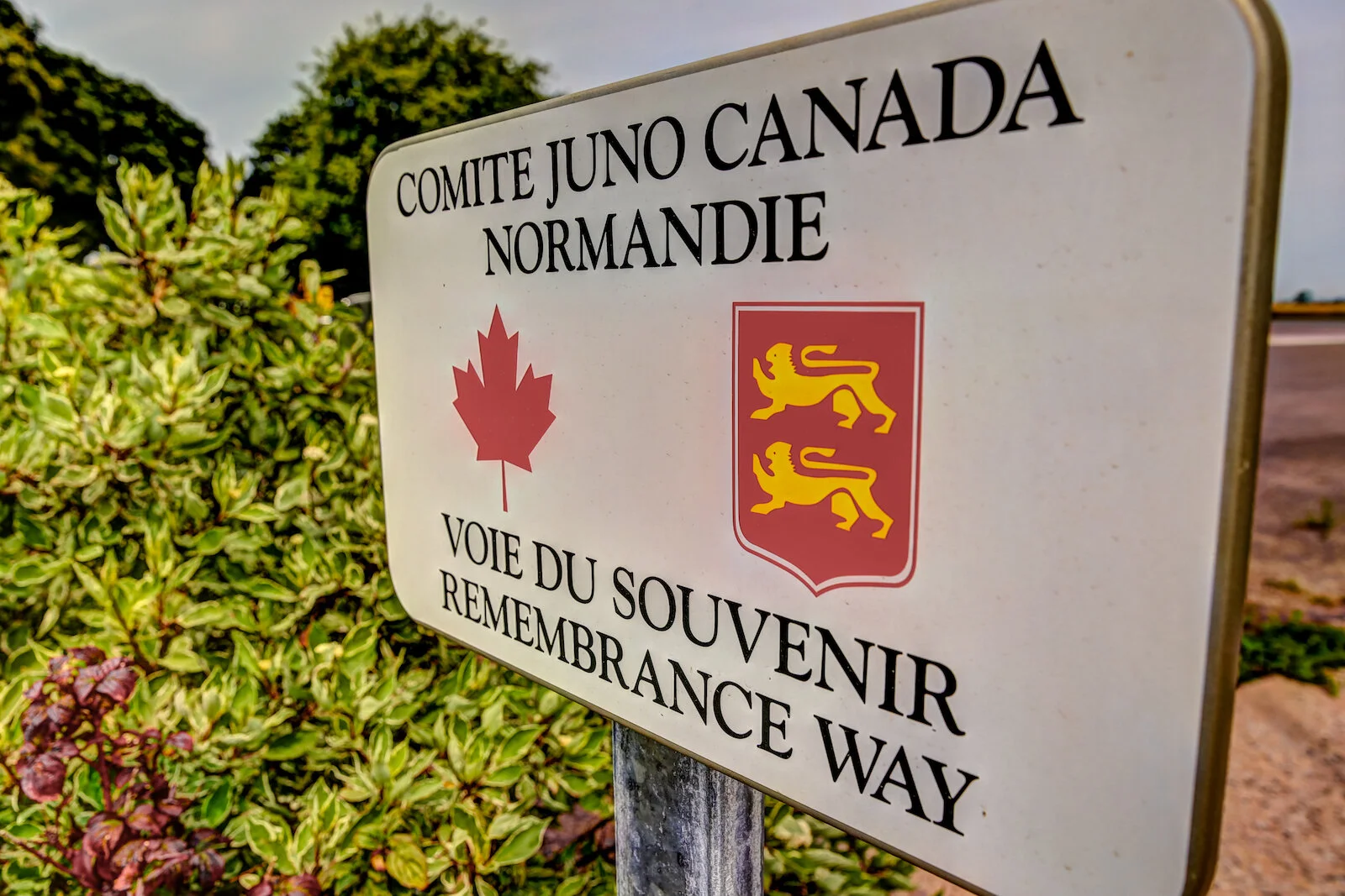 2019 NORMANDY-51.JPG