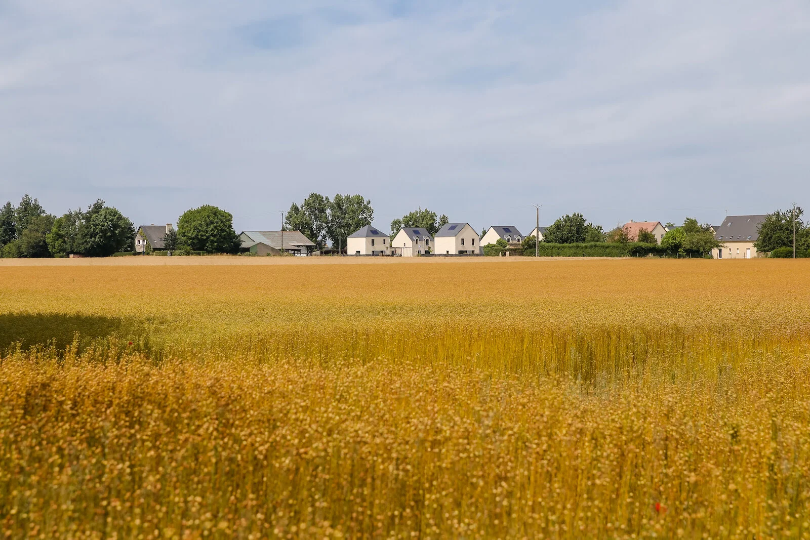 2019 NORMANDY-61.JPG