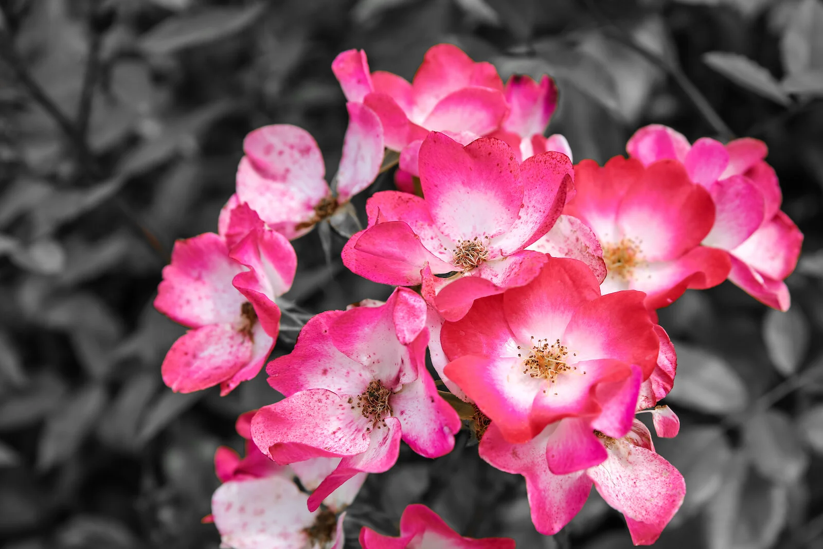 2019 NORMANDY-73.JPG