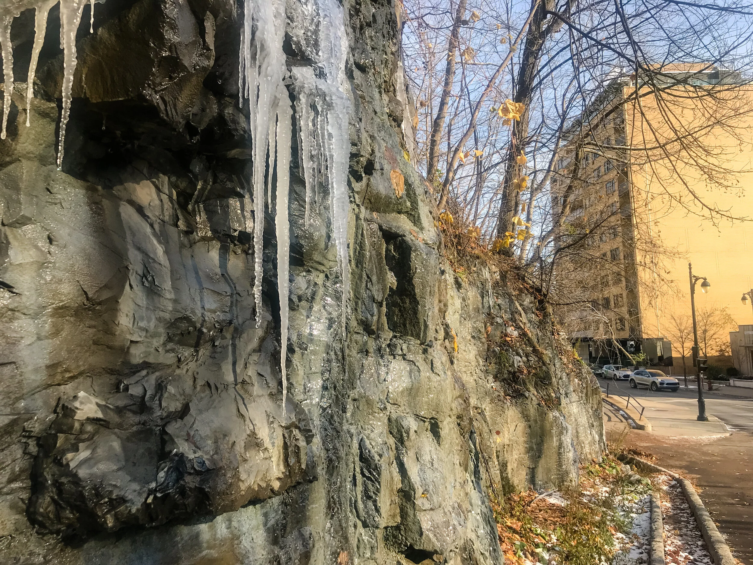 2019 MONTREAL IPHONE-5.JPG
