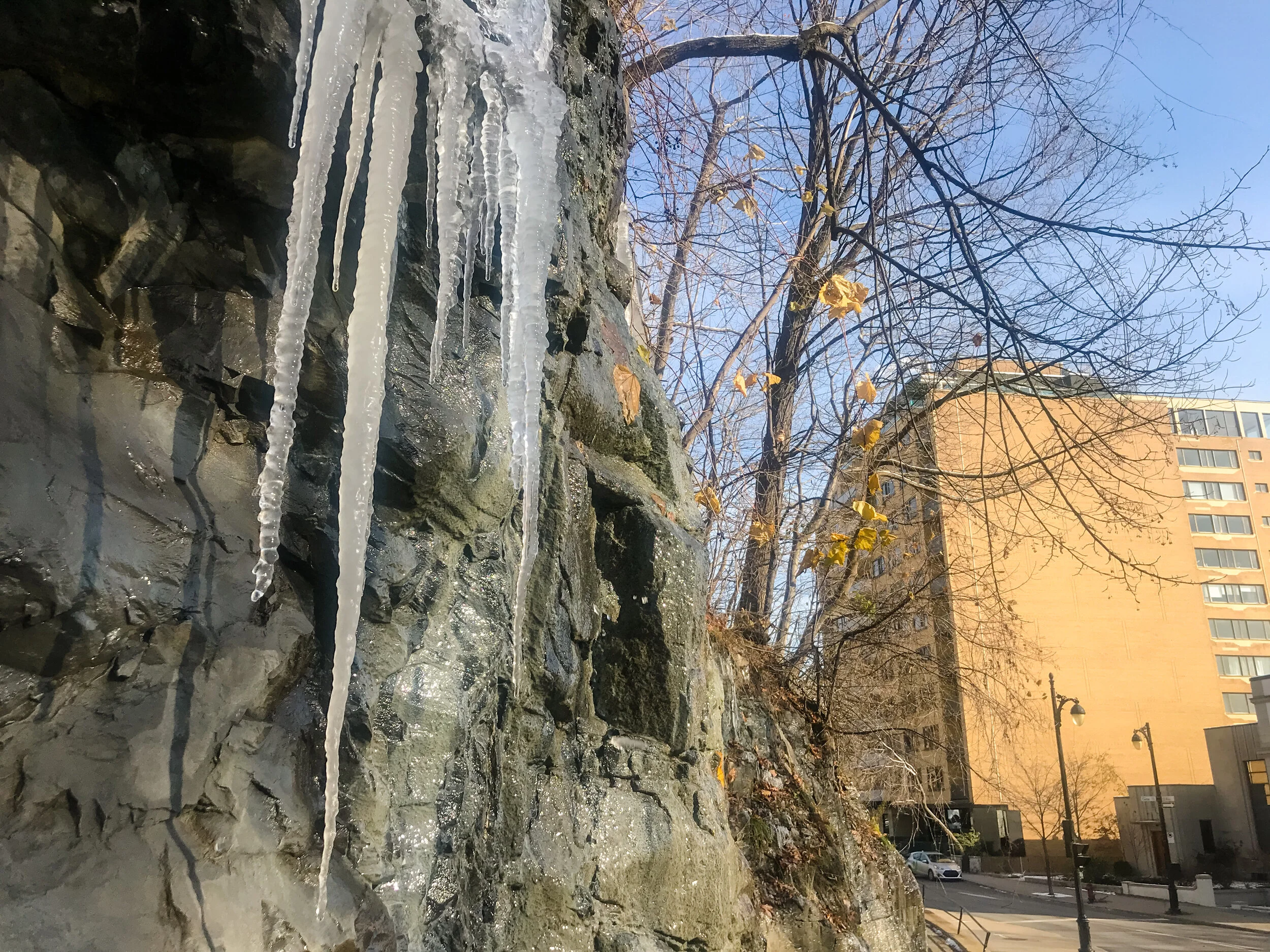 2019 MONTREAL IPHONE-6.JPG