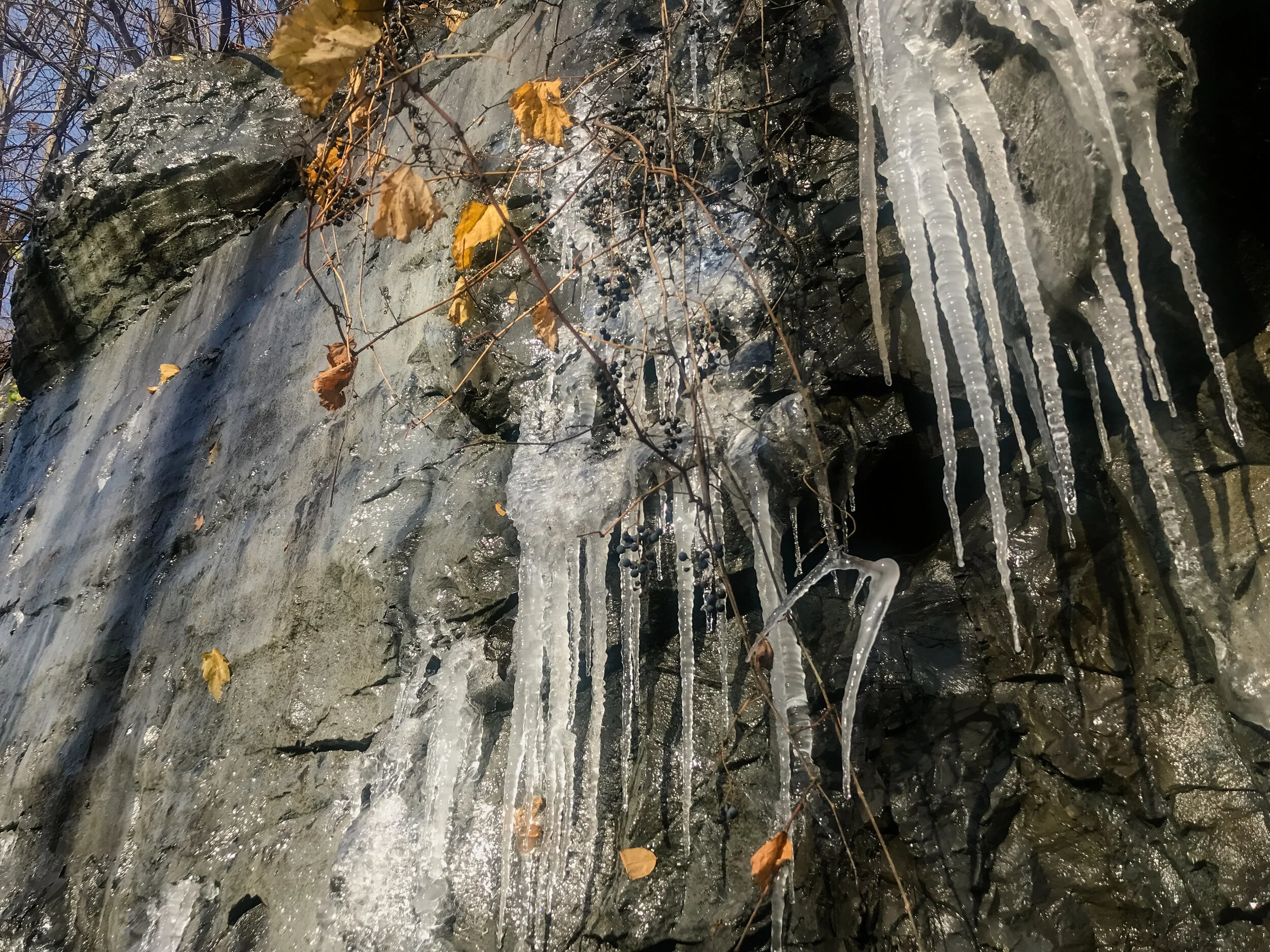 2019 MONTREAL IPHONE-7.JPG