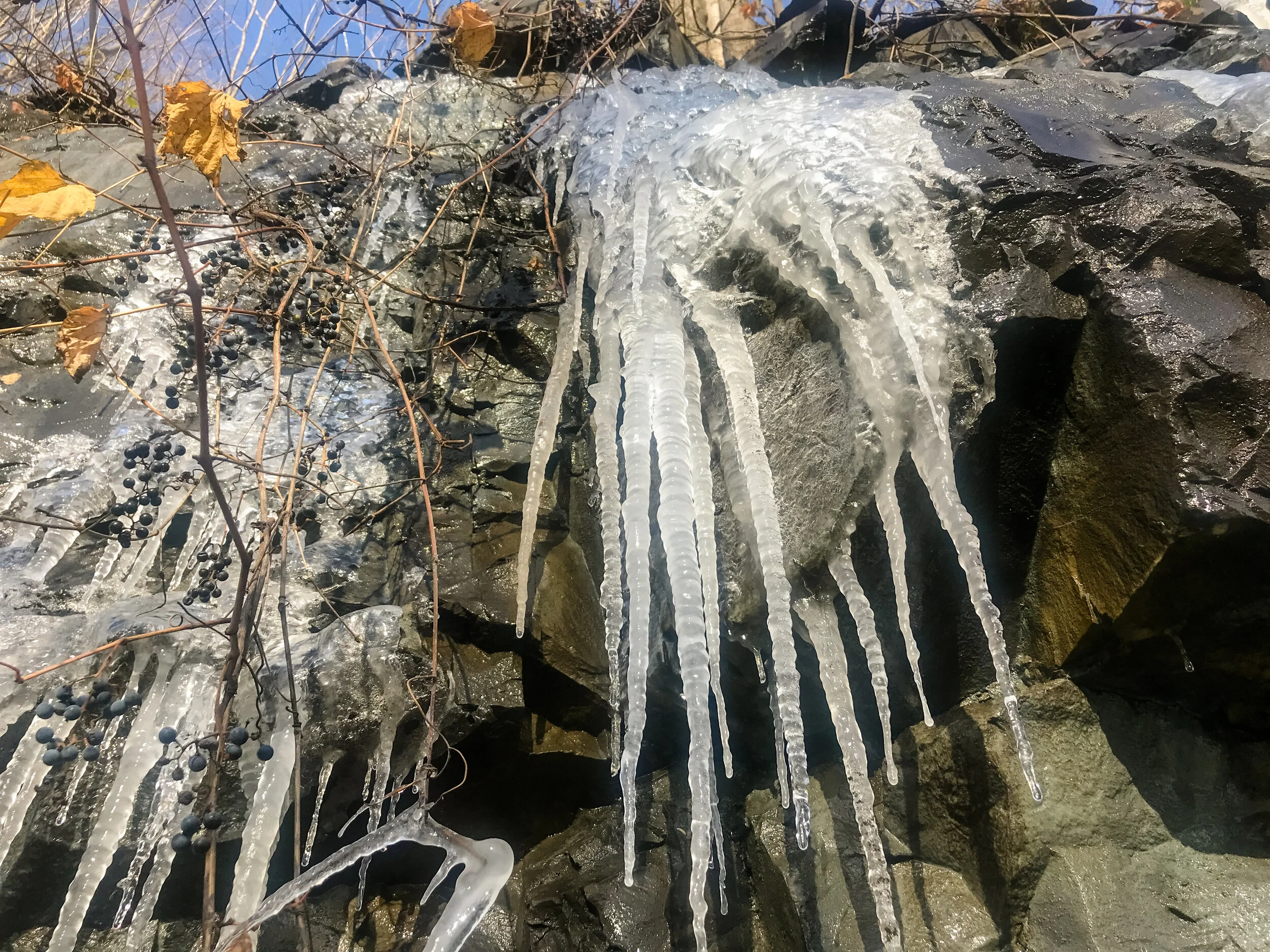 2019 MONTREAL IPHONE-9.JPG