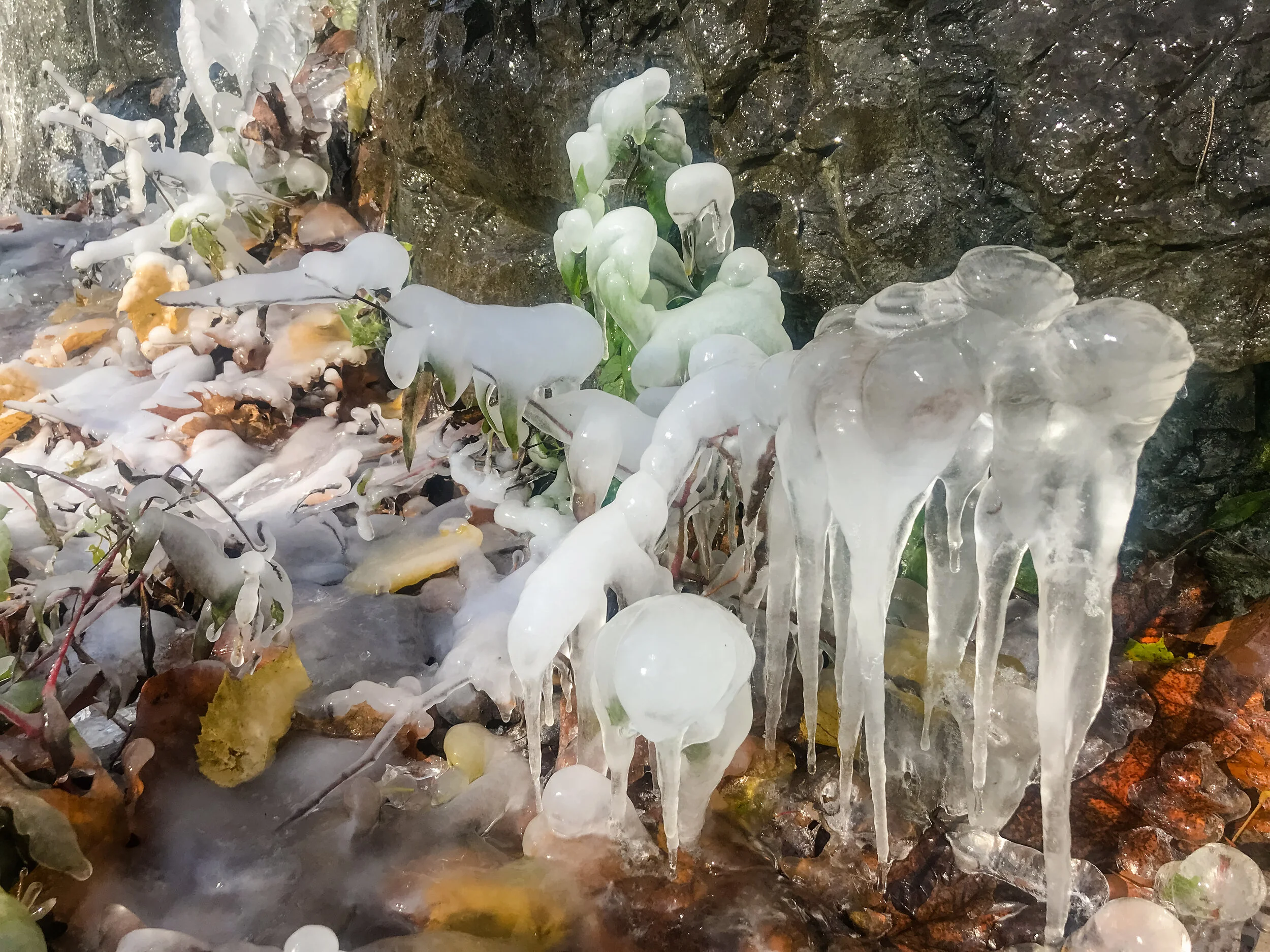 2019 MONTREAL IPHONE-10.JPG