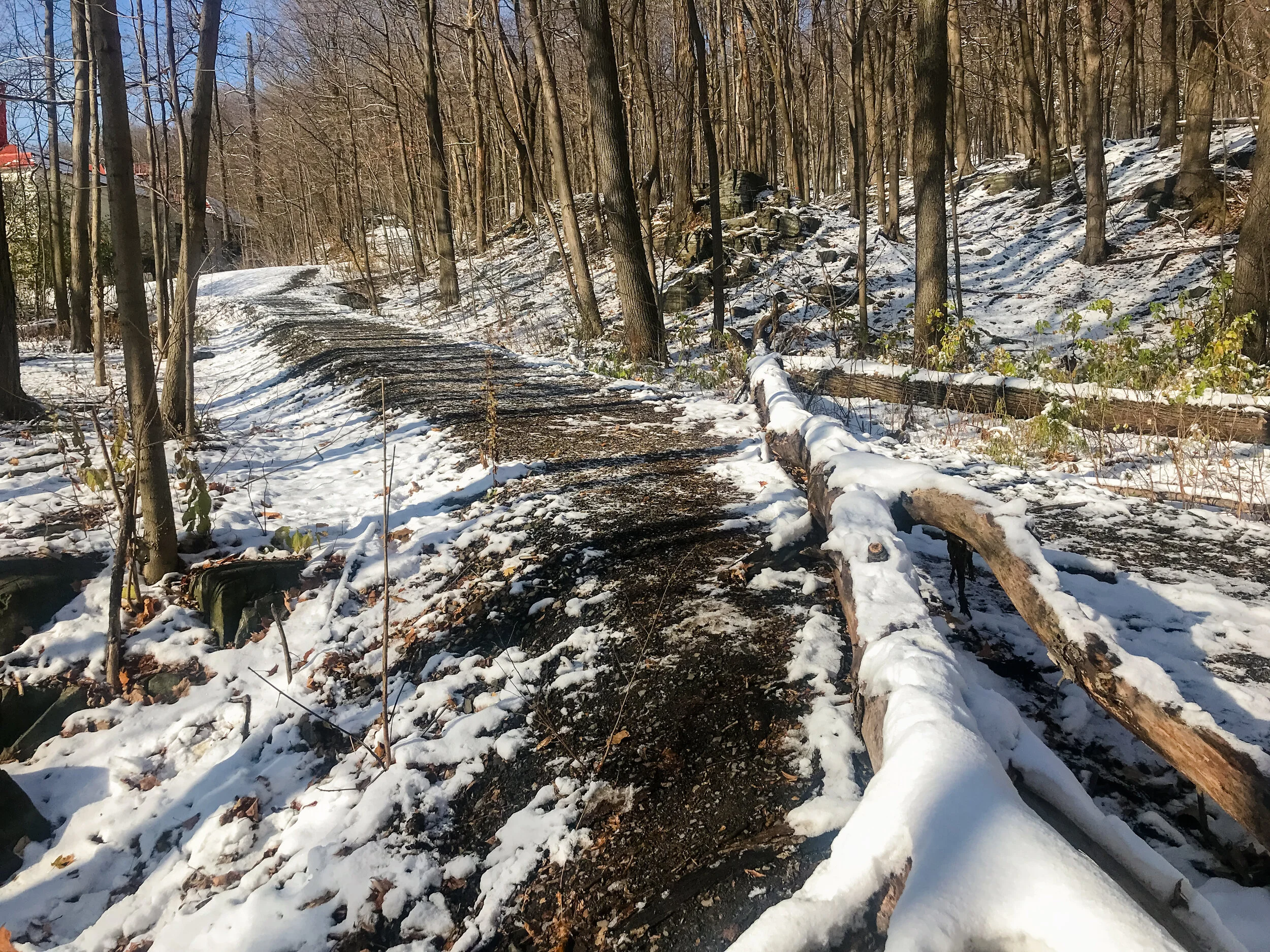 2019 MONTREAL IPHONE-16.JPG