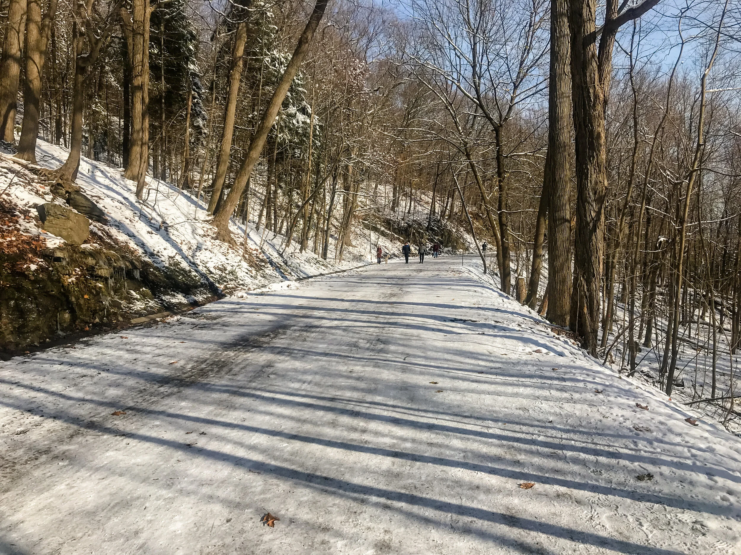 2019 MONTREAL IPHONE-18.JPG