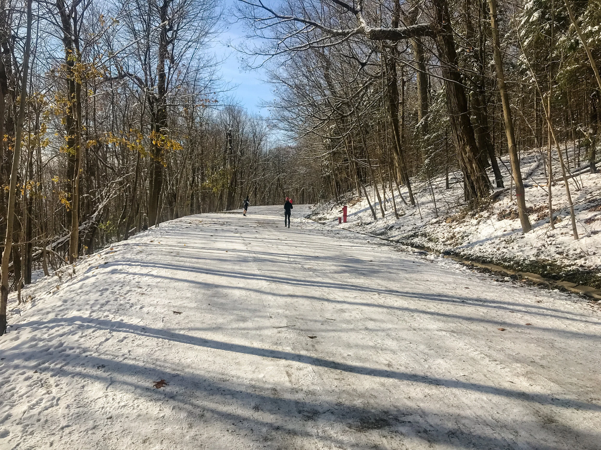 2019 MONTREAL IPHONE-17.JPG