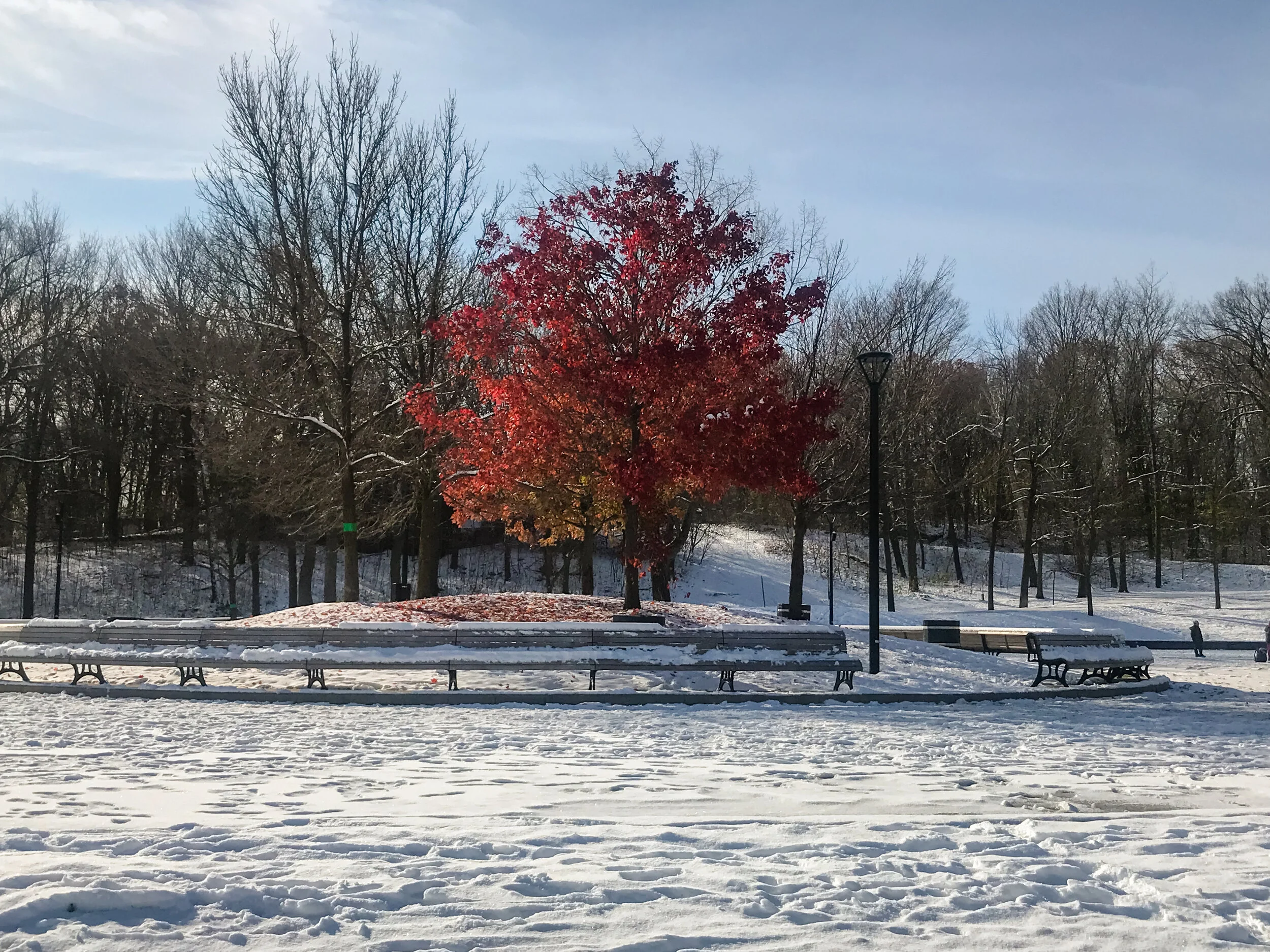 2019 MONTREAL IPHONE-23.JPG