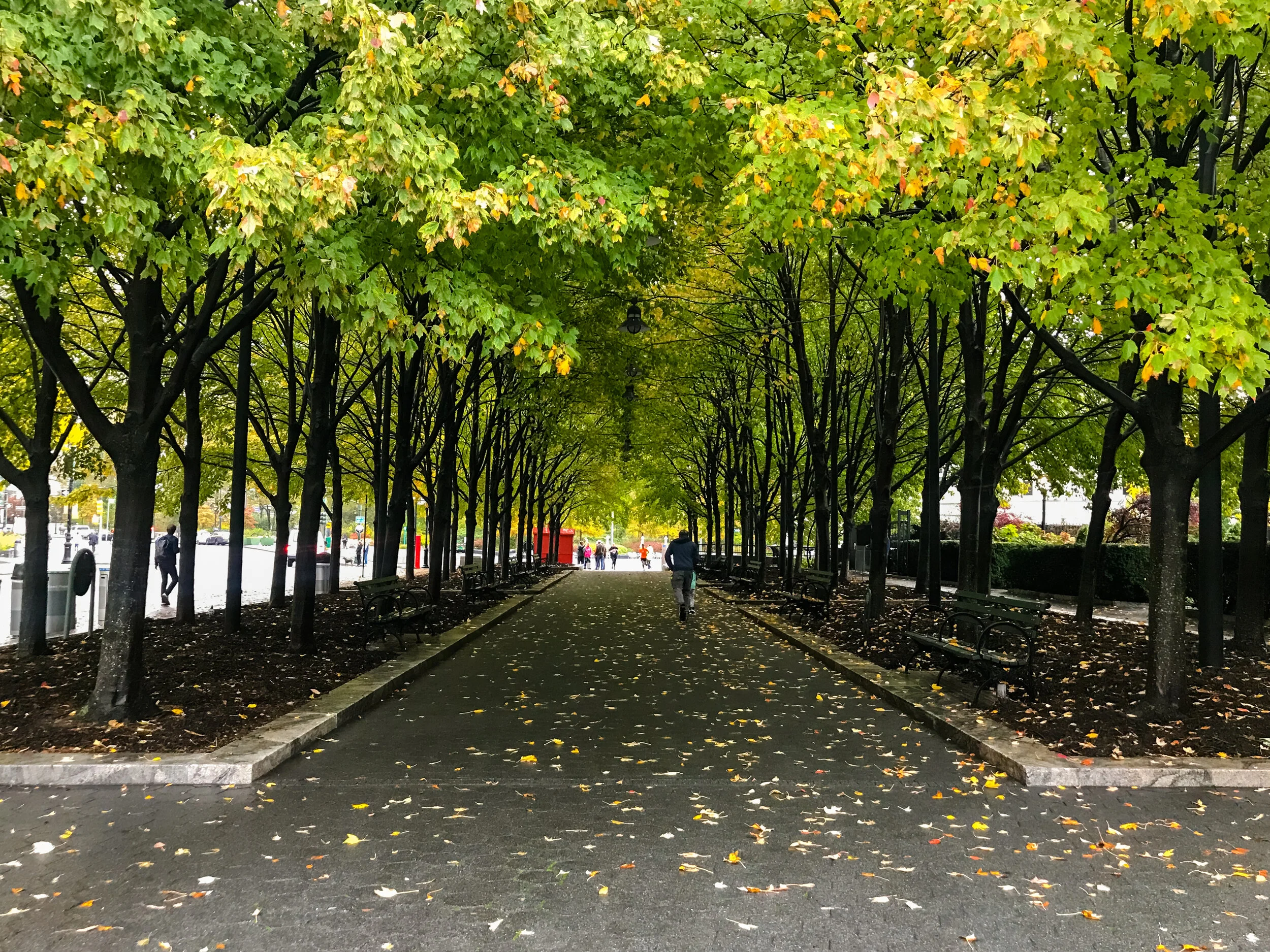 2019 NEW YORK FALL IPHONE-7.JPG