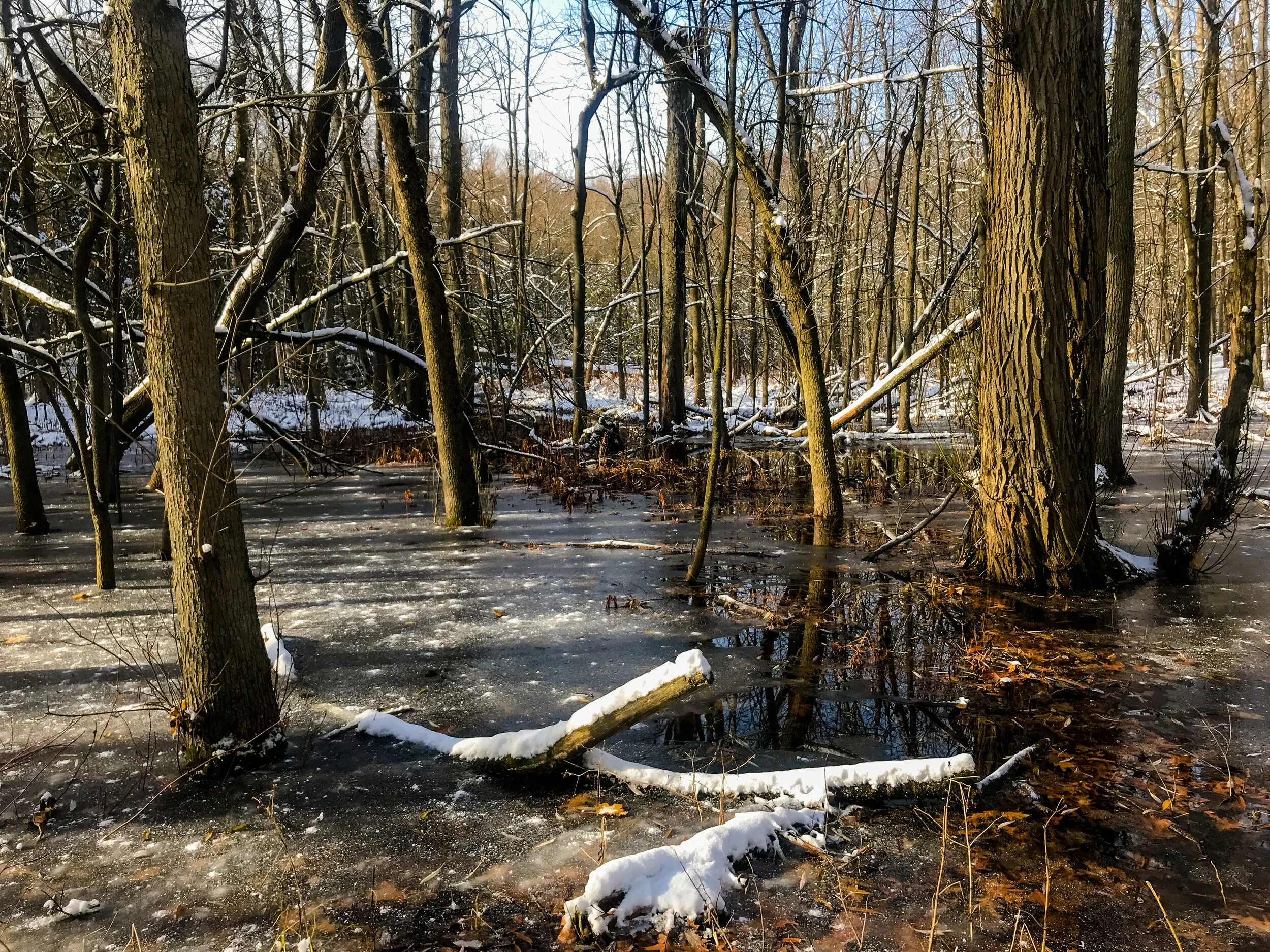 2019 MONTREAL IPHONE-30.JPG