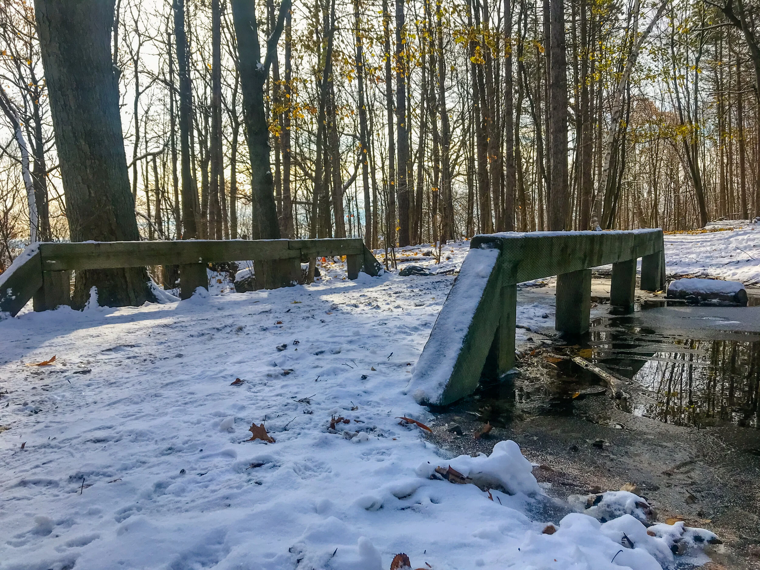 2019 MONTREAL IPHONE-32.JPG