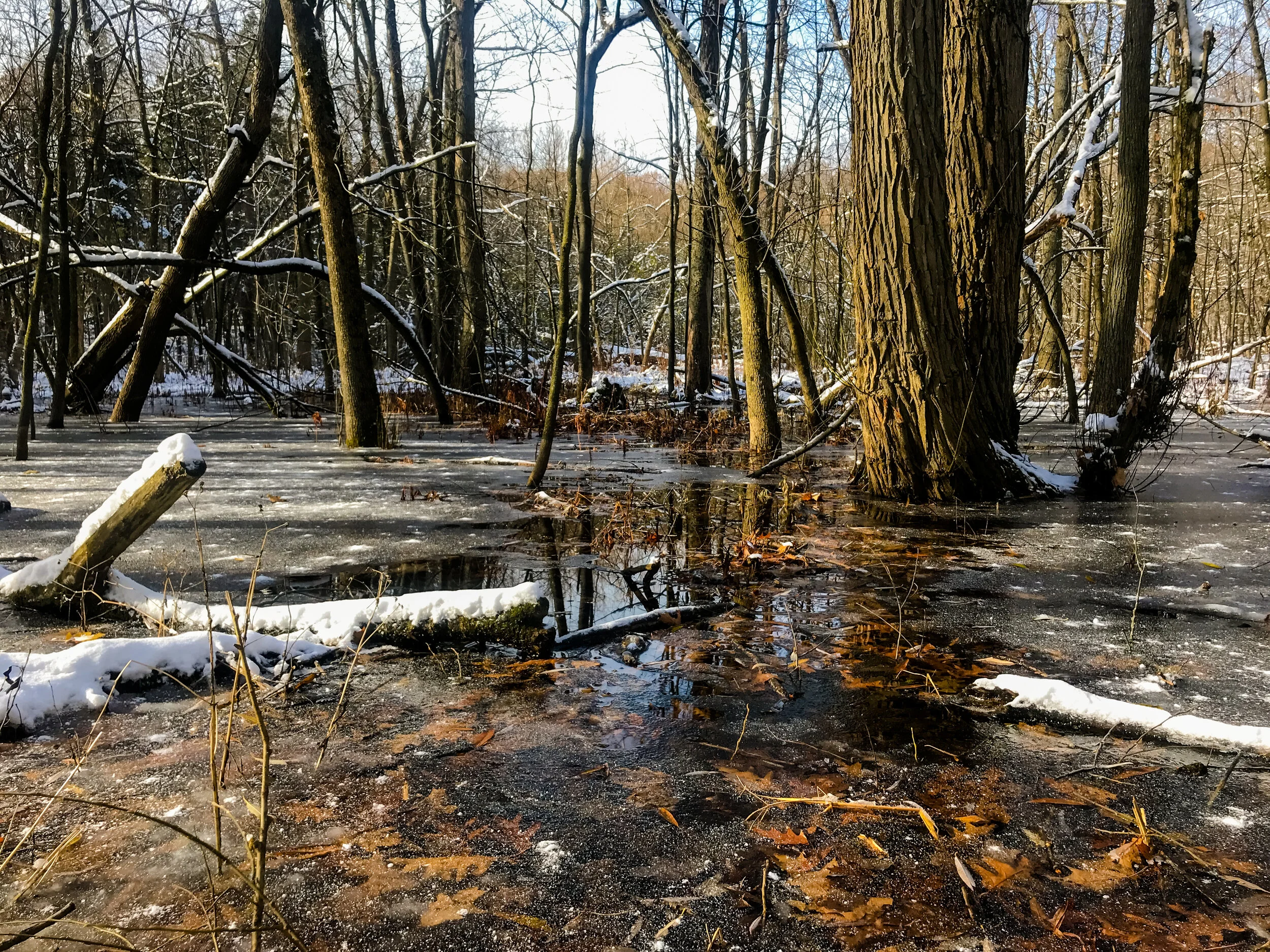 2019 MONTREAL IPHONE-31.JPG