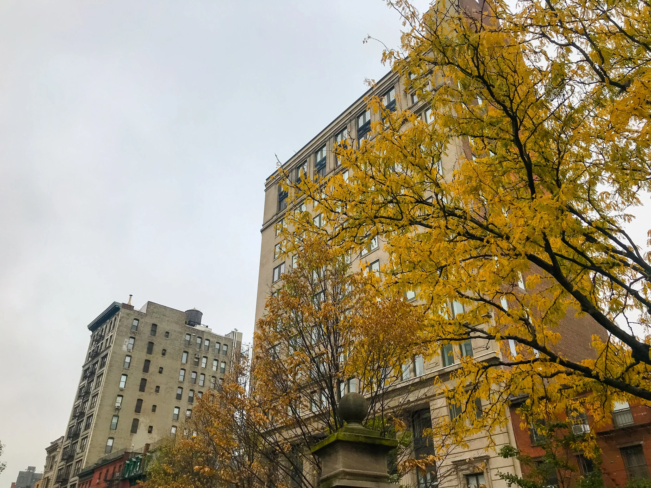 2019 NEW YORK FALL IPHONE-13.JPG