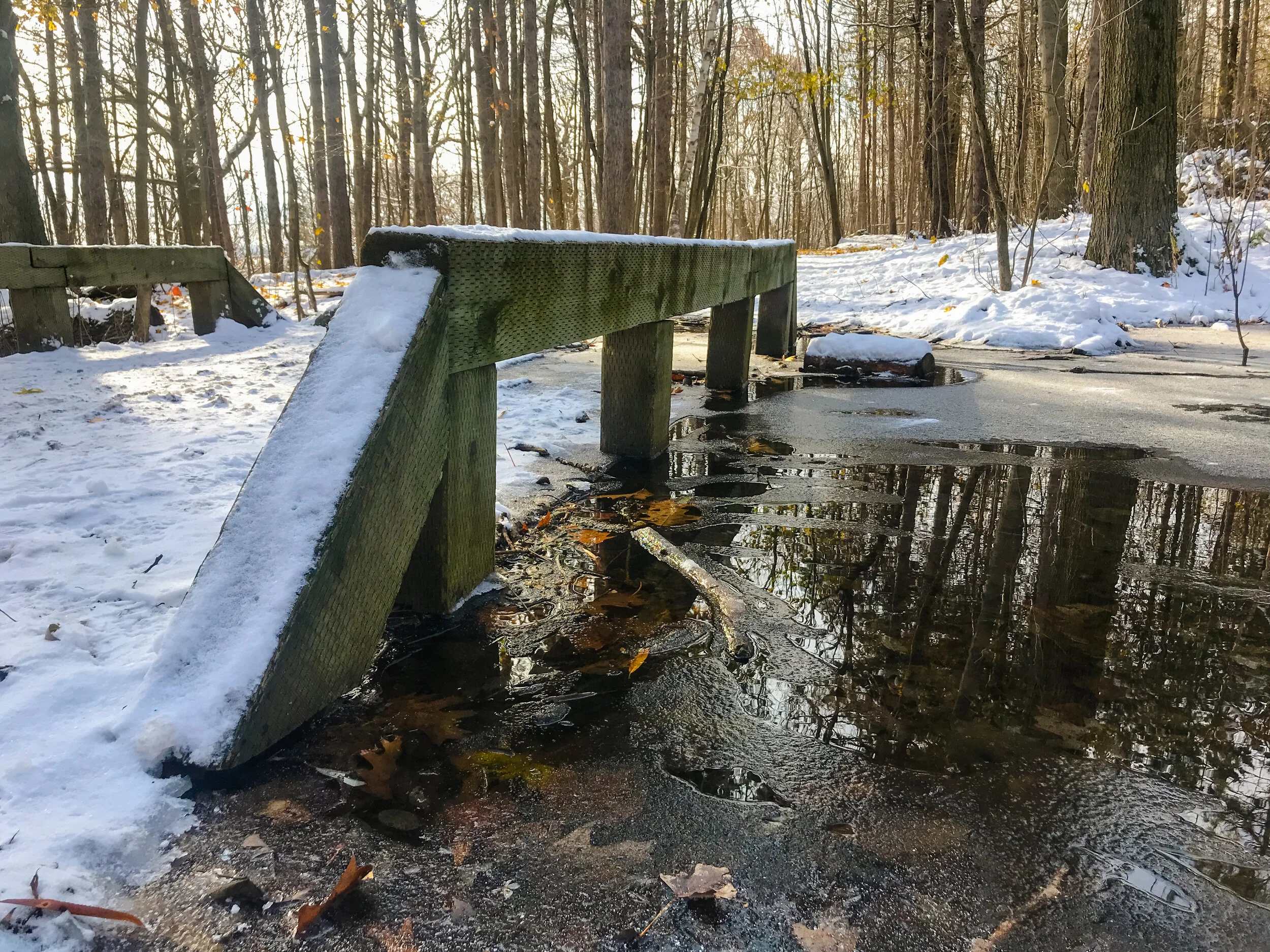 2019 MONTREAL IPHONE-33.JPG